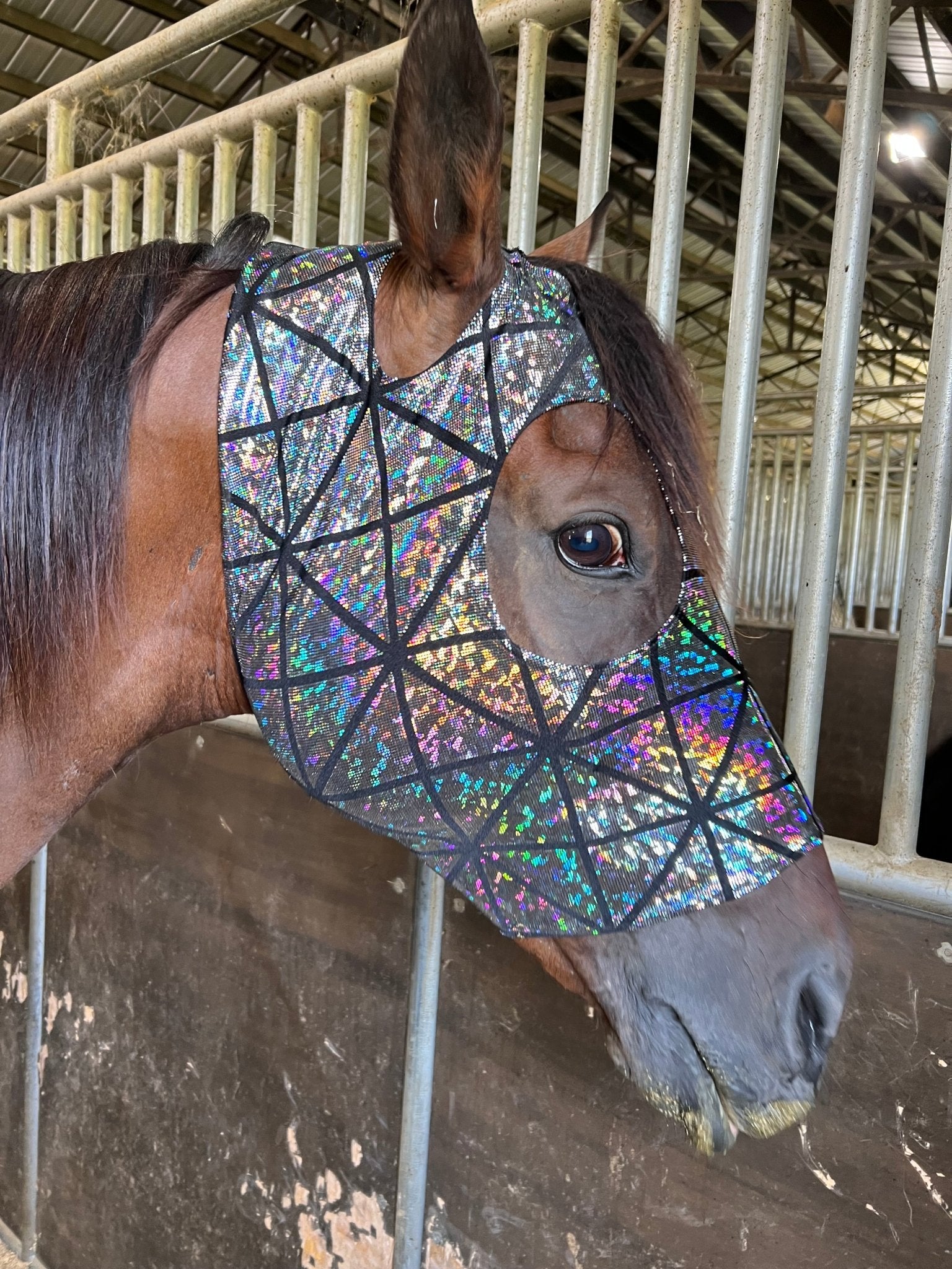 Disco Ball Spandex Face Mask for Horses - Riverside Rodeo Shirts