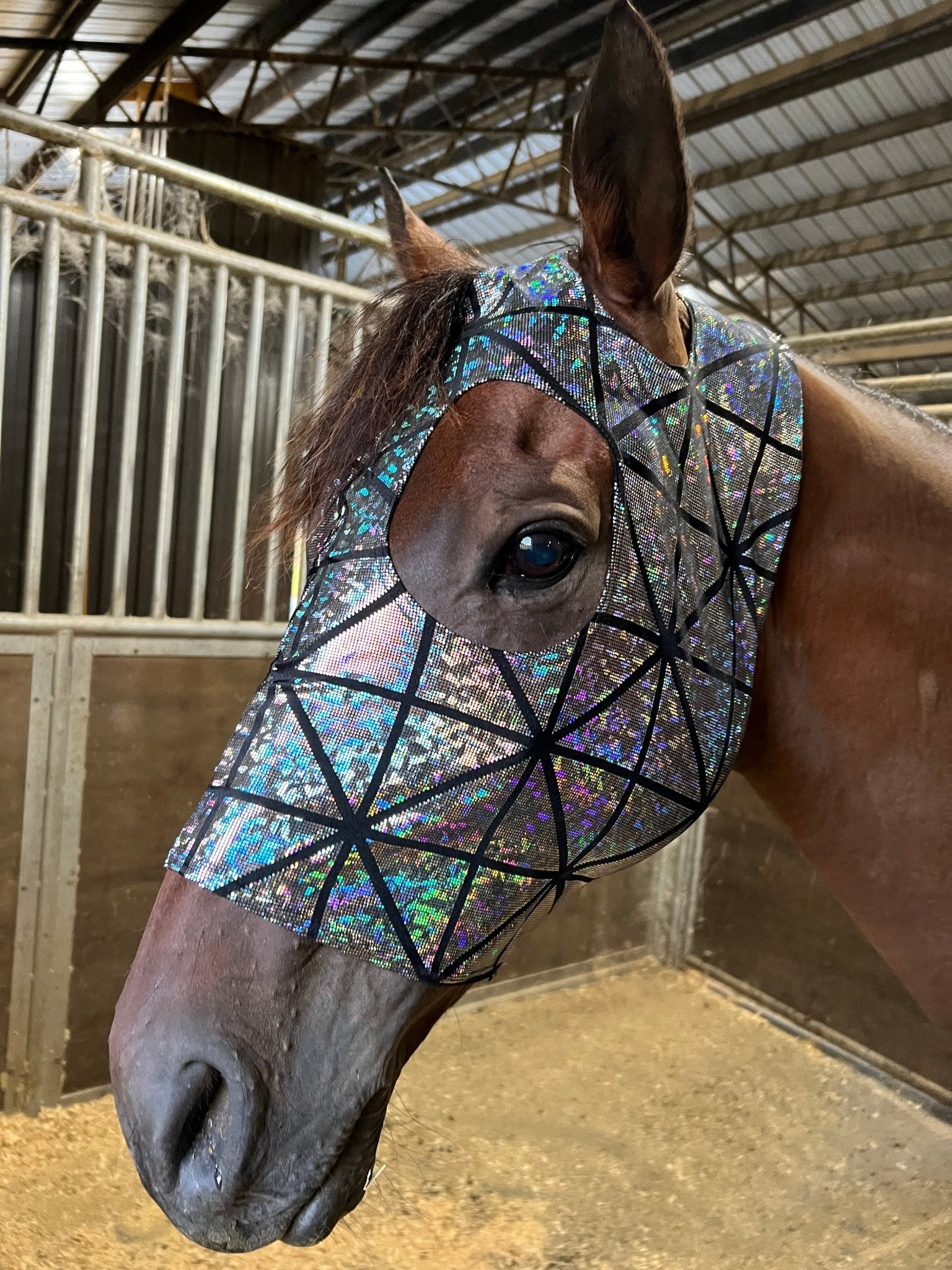Disco Ball Spandex Face Mask for Horses - Riverside Rodeo Shirts