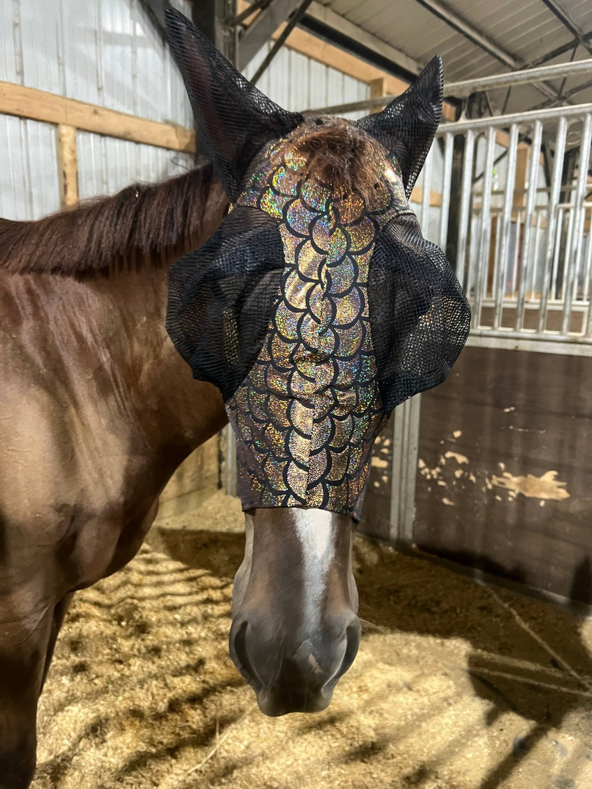 Gold Dragon Scale Fly Mask - Riverside Rodeo Shirts