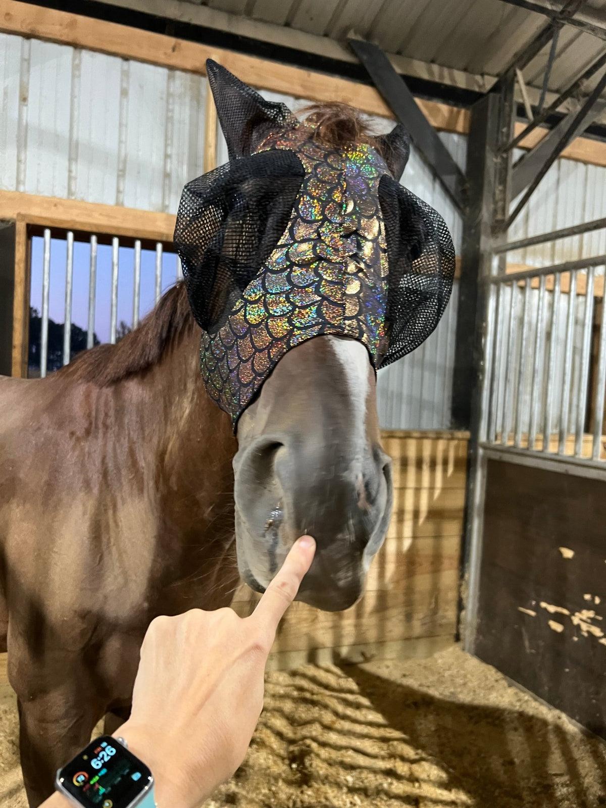 Gold Dragon Scale Fly Mask - Riverside Rodeo Shirts