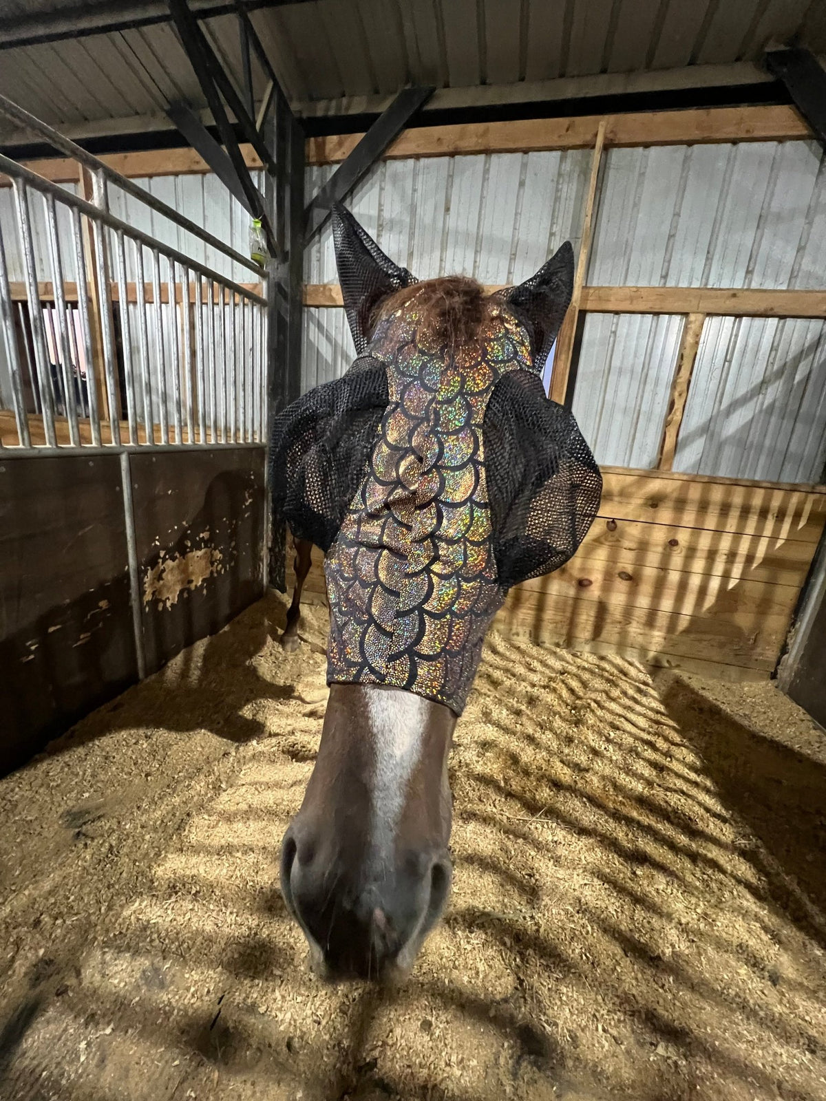 Gold Dragon Scale Fly Mask - Riverside Rodeo Shirts