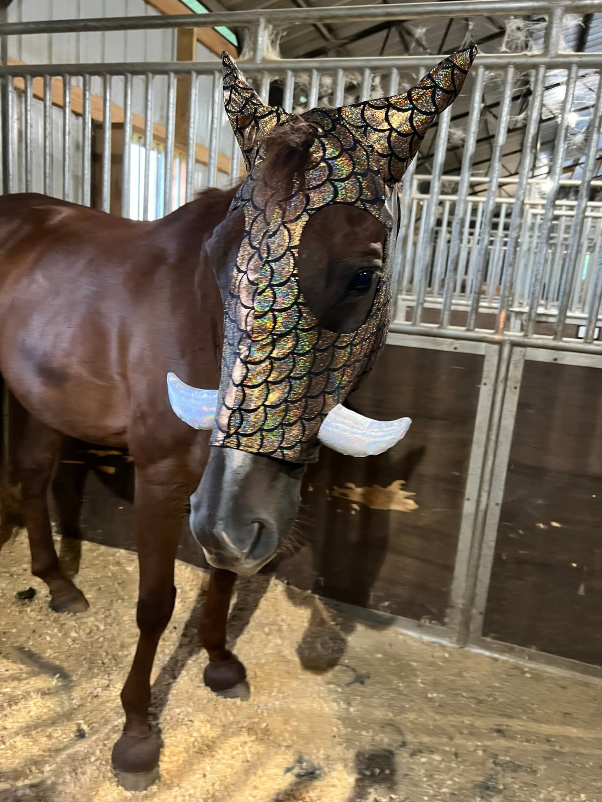 Gold Dragon Scale WartHog Tusk Costume Mask for Horses - Riverside Rodeo Shirts