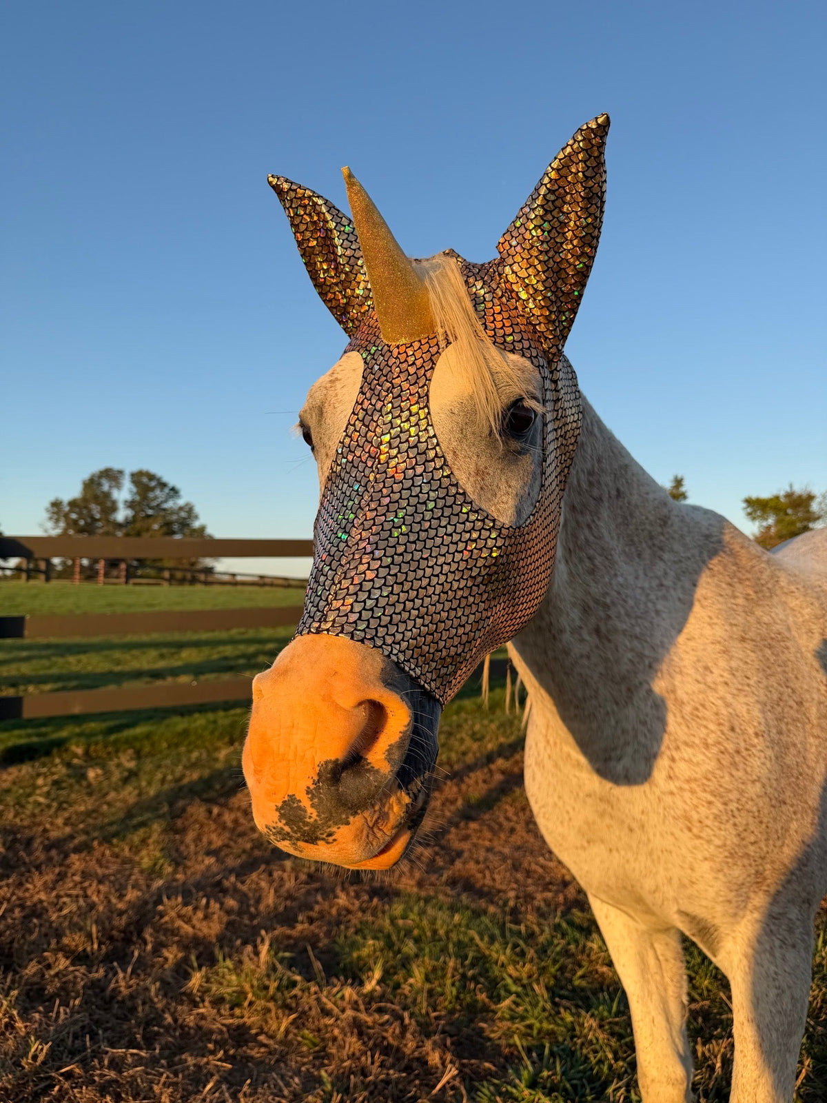 Golden Scaled Unicorn Costume Mask for Horses - Riverside Rodeo Shirts
