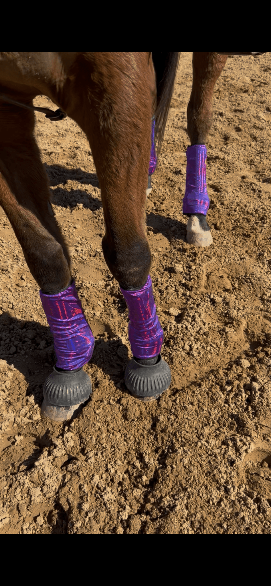 Grape Purple Holographic Velcro Sportboot Covers (Covers Only, sets of TWO) - Riverside Rodeo Shirts