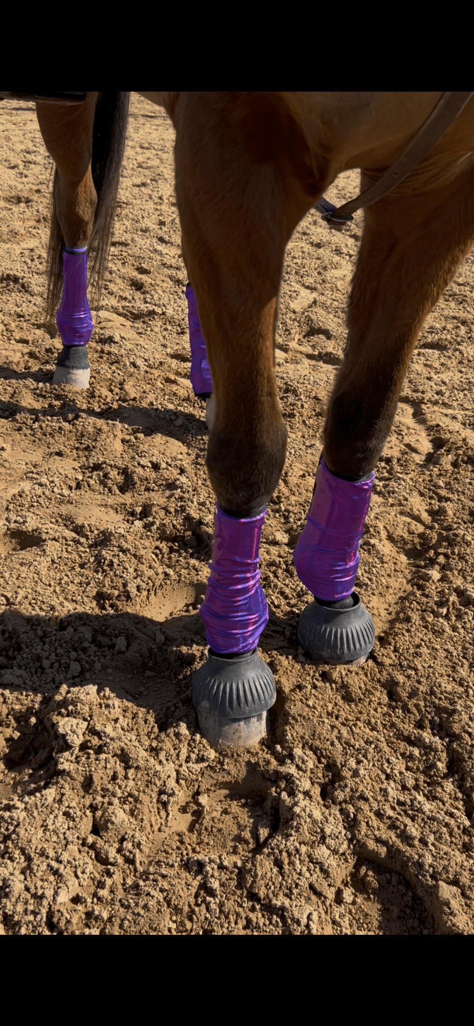 Grape Purple Holographic Velcro Sportboot Covers (Covers Only, sets of TWO) - Riverside Rodeo Shirts