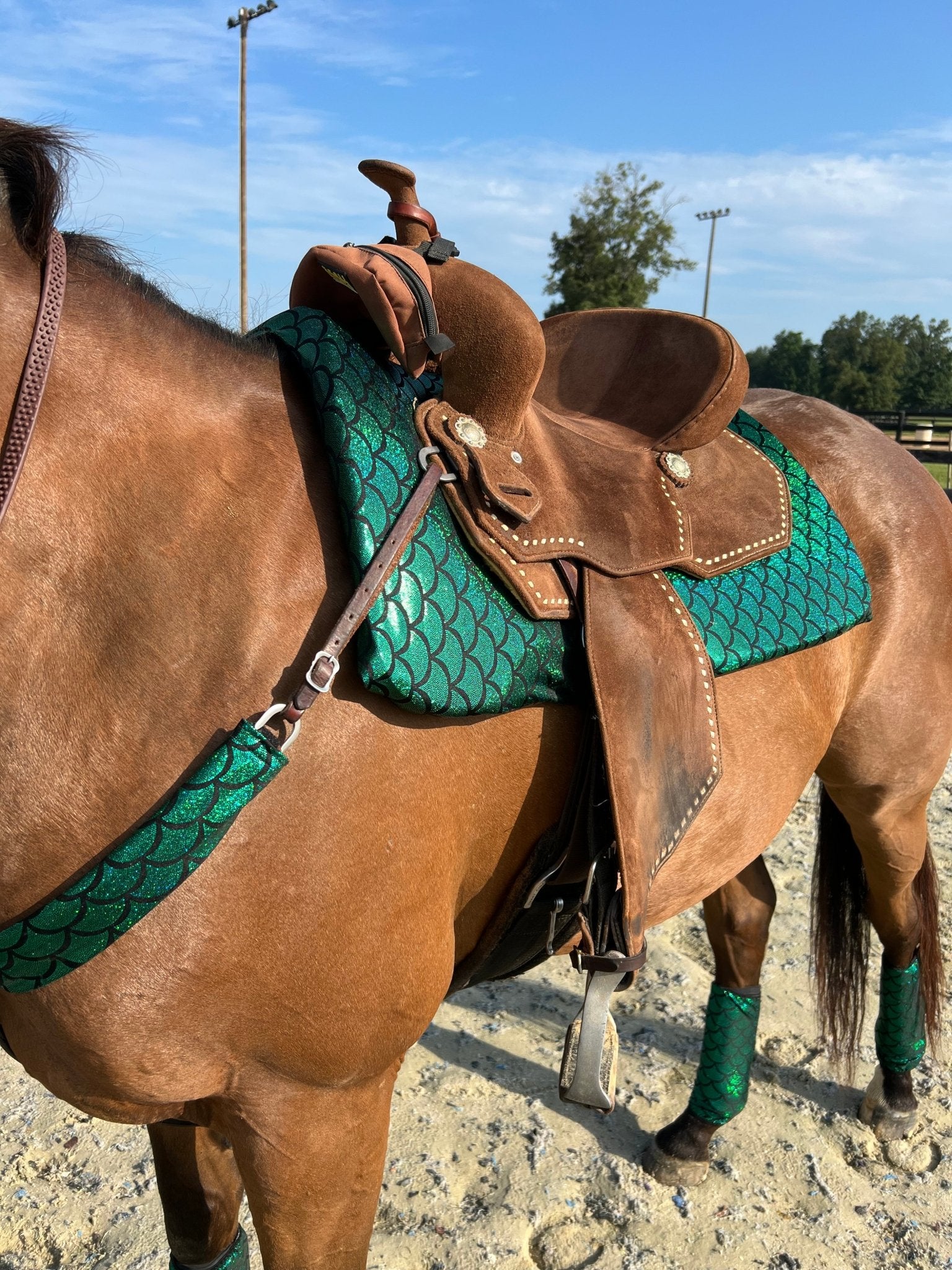 Green Dragon or Mermaid Scale Breast Collar Cover (Covers ONLY) - Riverside Rodeo Shirts