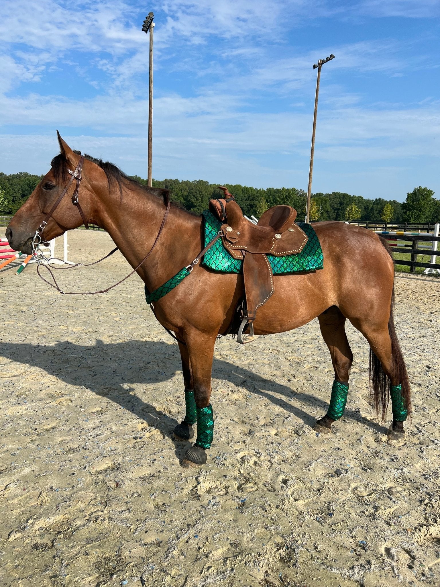 Green Dragon or Mermaid Scale Breast Collar Cover (Covers ONLY) - Riverside Rodeo Shirts