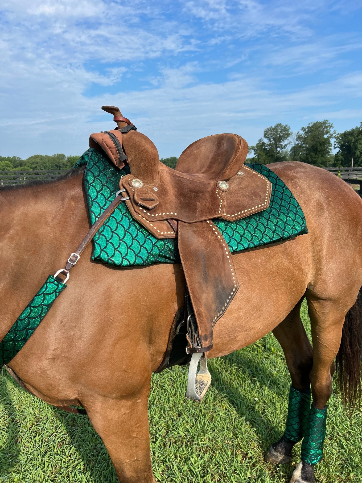 Green Dragon or Mermaid Scale Breast Collar Cover (Covers ONLY) - Riverside Rodeo Shirts