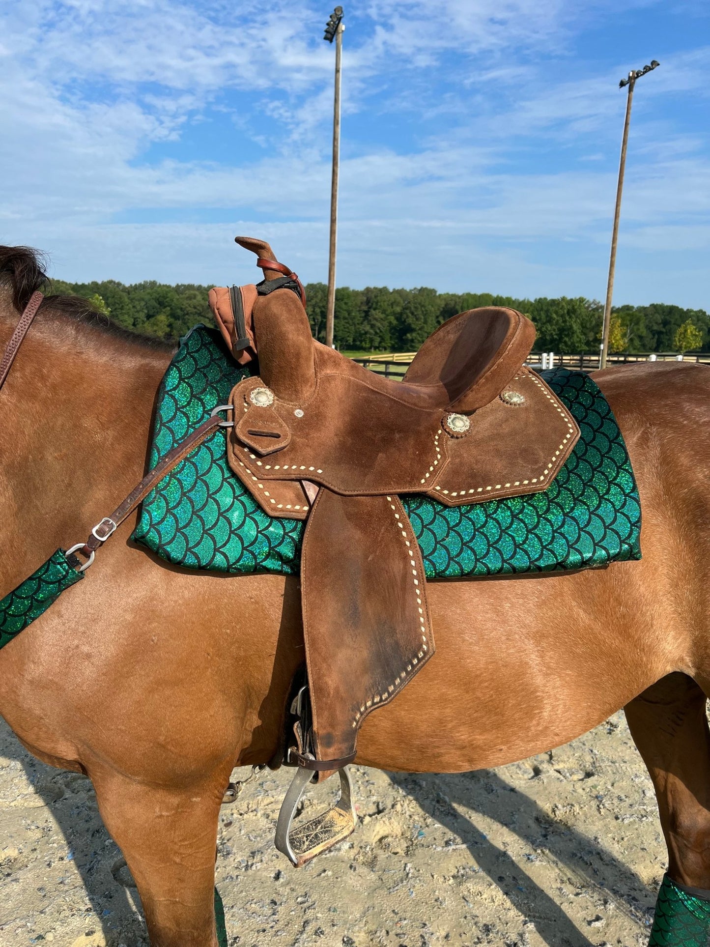 Green Dragon or Mermaid Scale Western Saddle Pad COVER (Saddle Pad Cover Only) - Riverside Rodeo Shirts