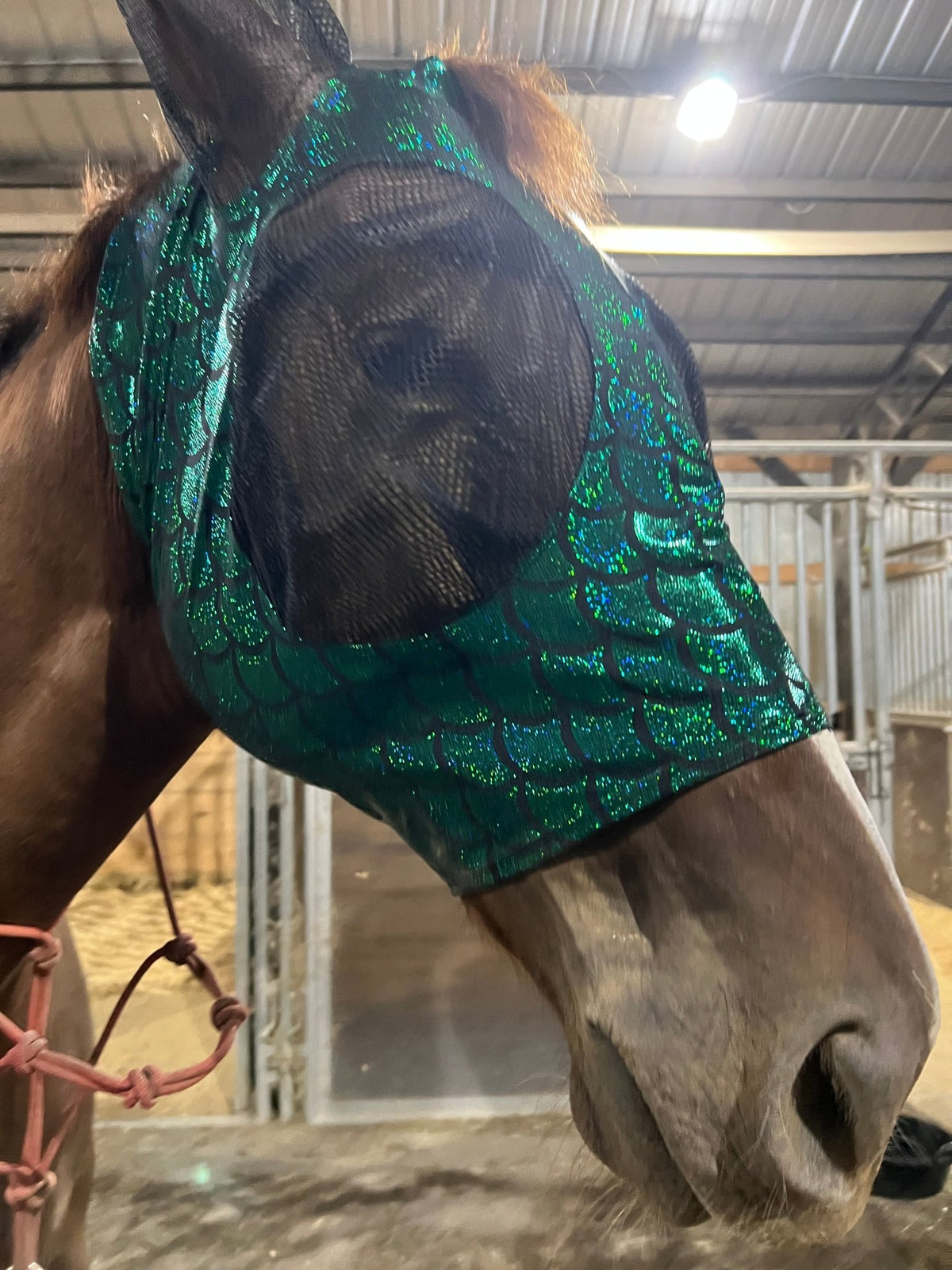 Green Dragon Scale Fly Mask - Riverside Rodeo Shirts