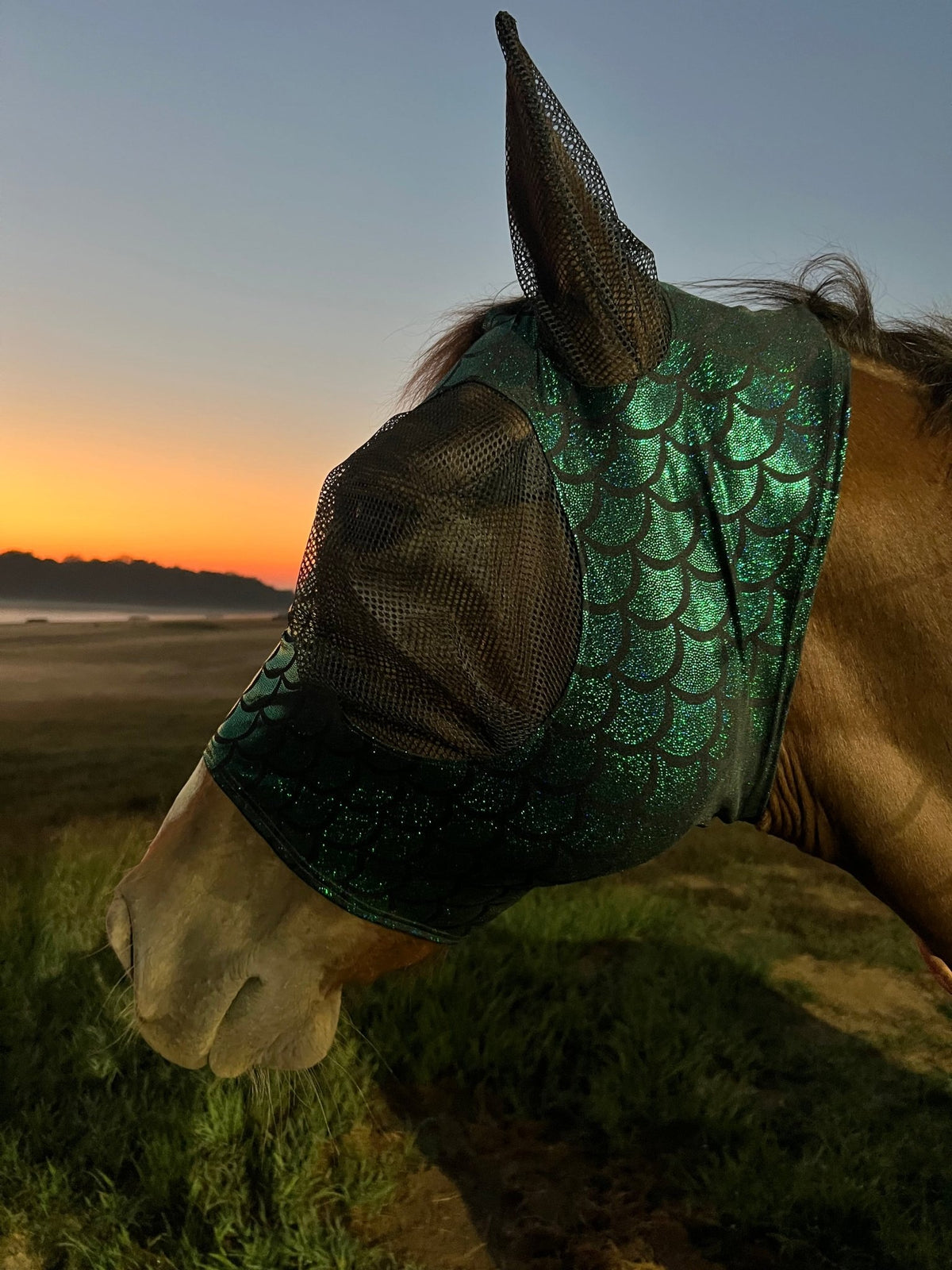 Green Dragon Scale Fly Mask - Riverside Rodeo Shirts