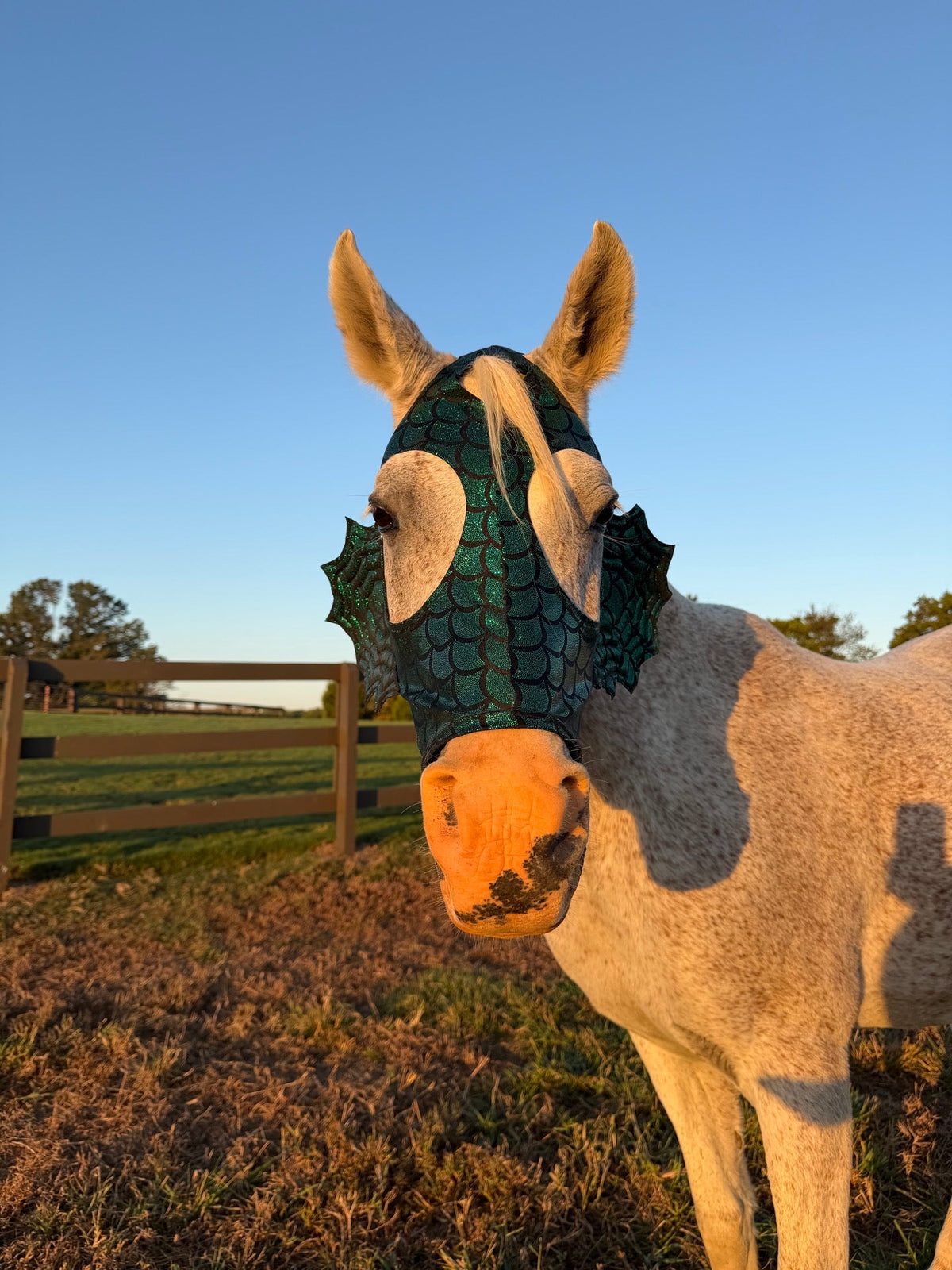 Green Dragon Scale Sea Creature Costume Mask for Horses - Riverside Rodeo Shirts