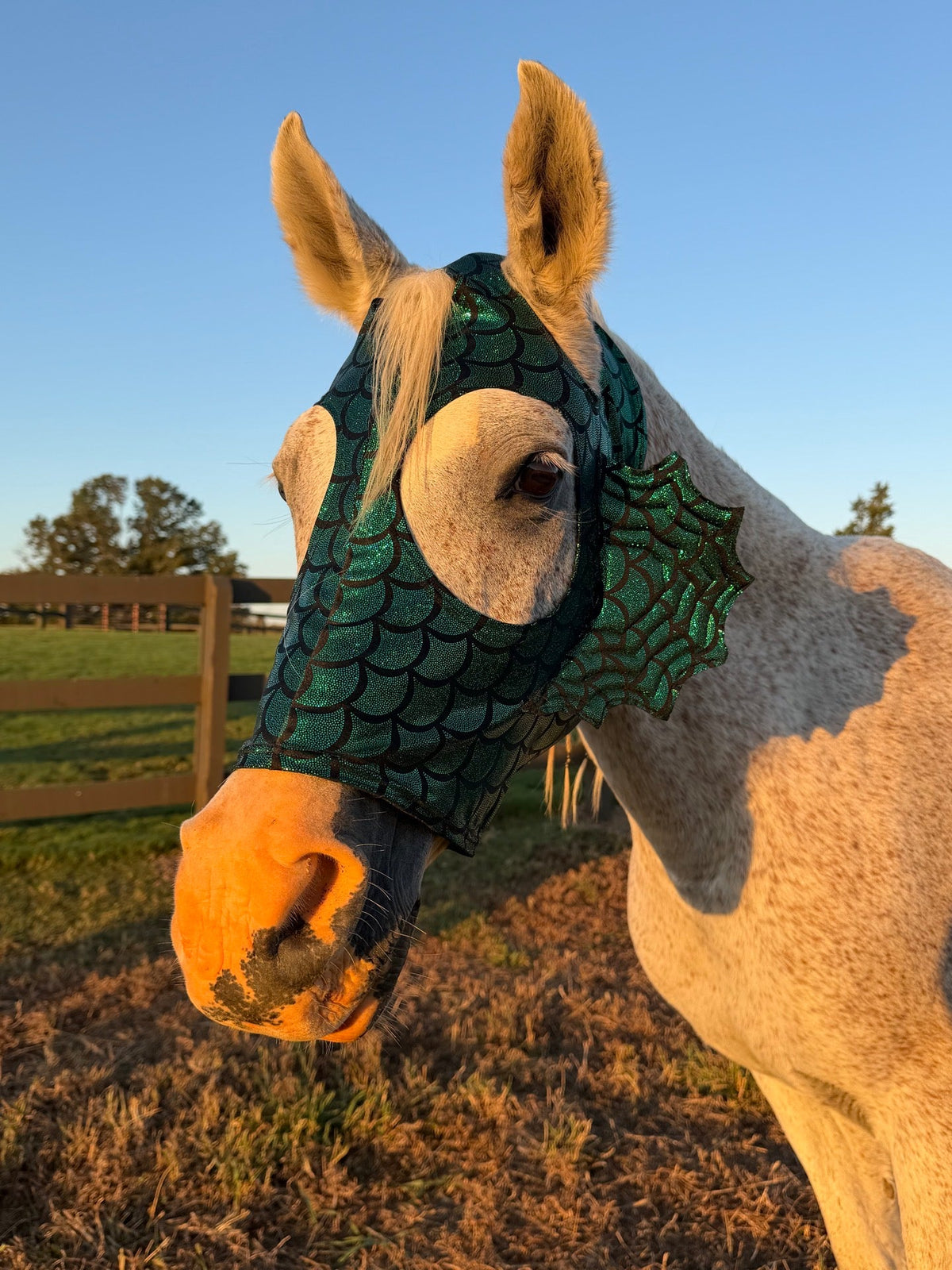 Green Dragon Scale Sea Creature Costume Mask for Horses - Riverside Rodeo Shirts