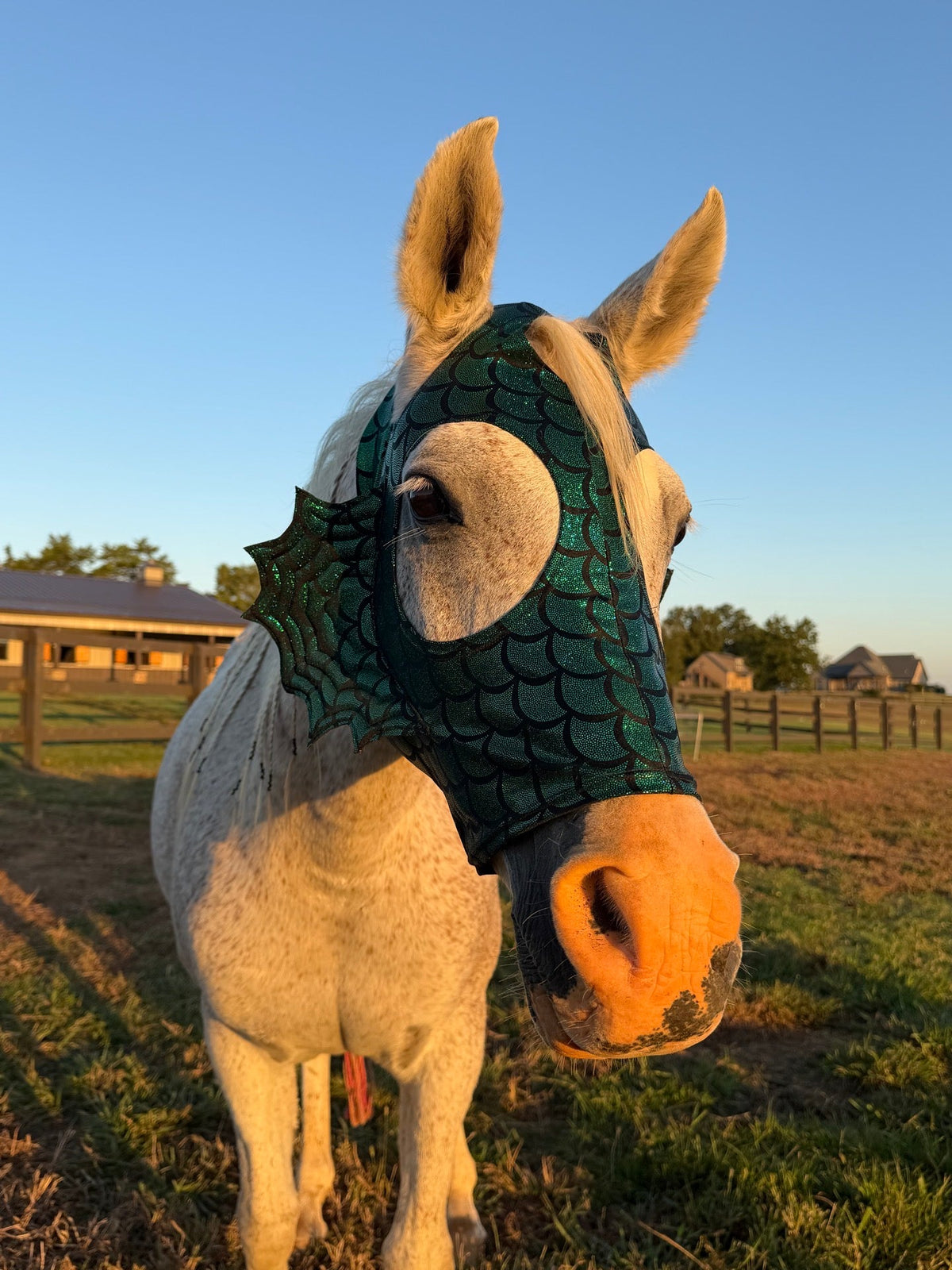 Green Dragon Scale Sea Creature Costume Mask for Horses - Riverside Rodeo Shirts