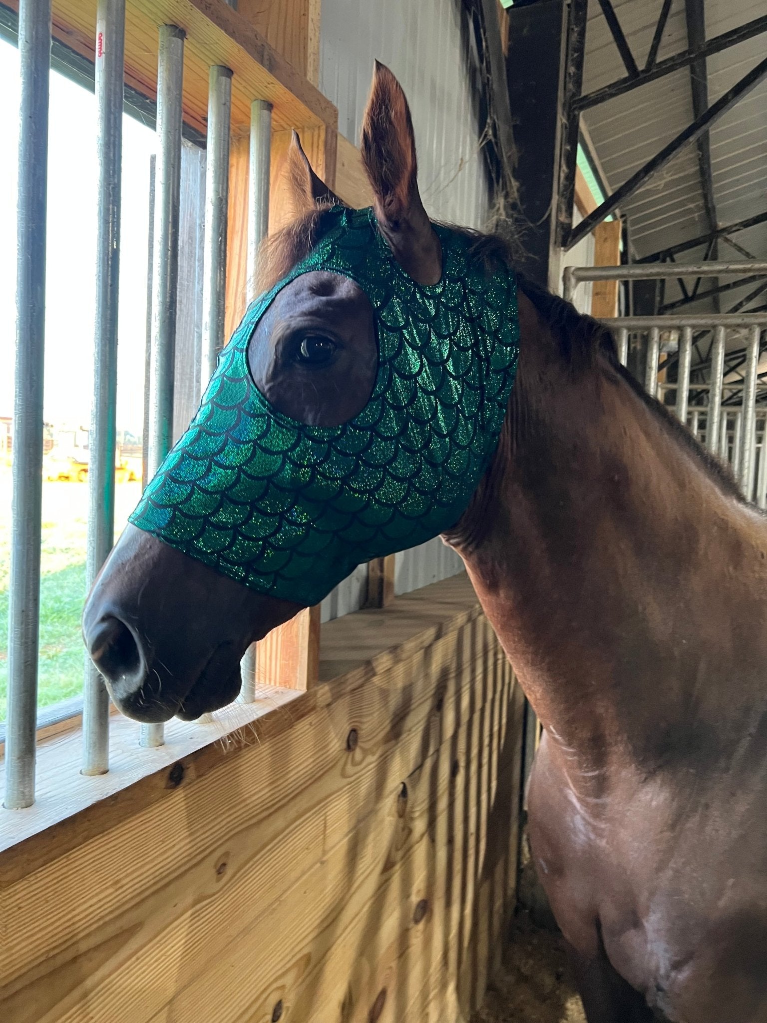 Green Dragon Scale Spandex Face Mask for Horses - Riverside Rodeo Shirts