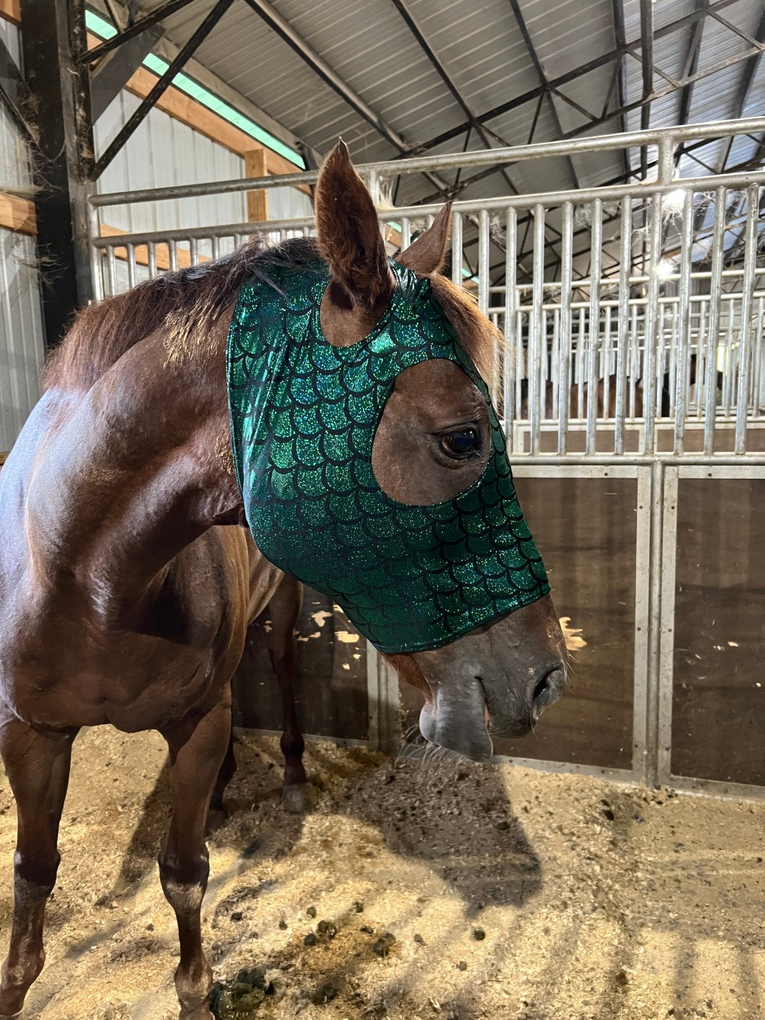 Green Dragon Scale Spandex Face Mask for Horses - Riverside Rodeo Shirts