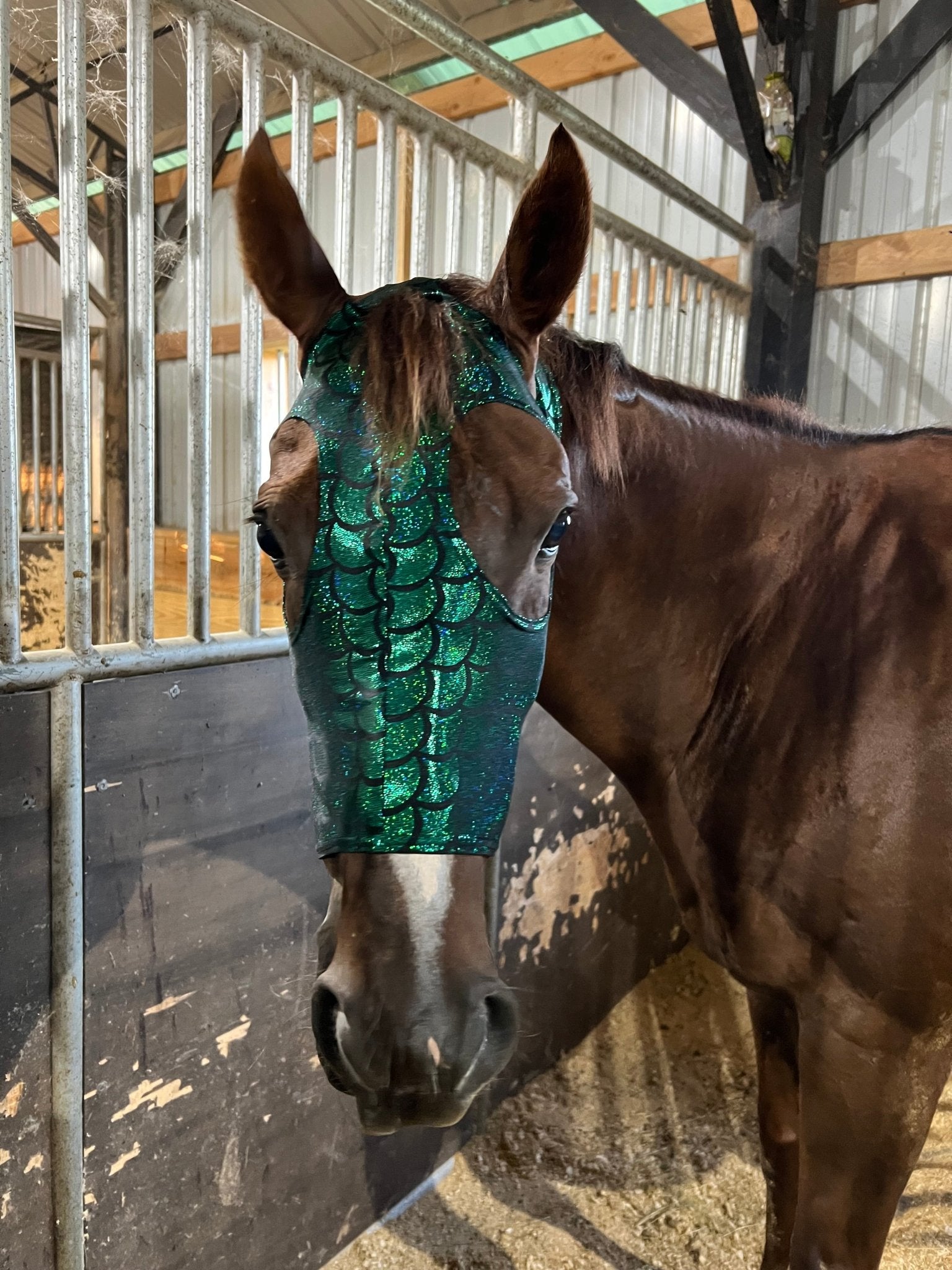 Green Dragon Scale Spandex Face Mask for Horses - Riverside Rodeo Shirts