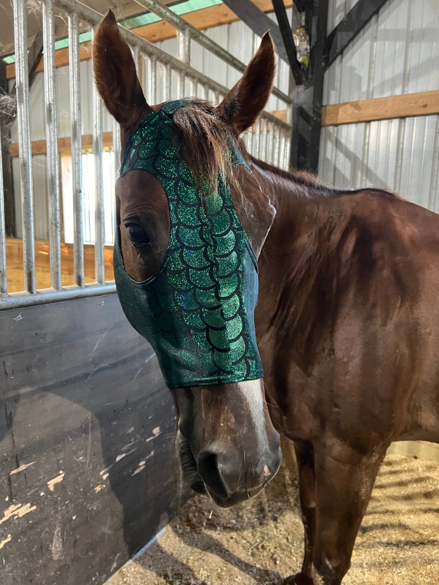 Green Dragon Scale Spandex Face Mask for Horses - Riverside Rodeo Shirts