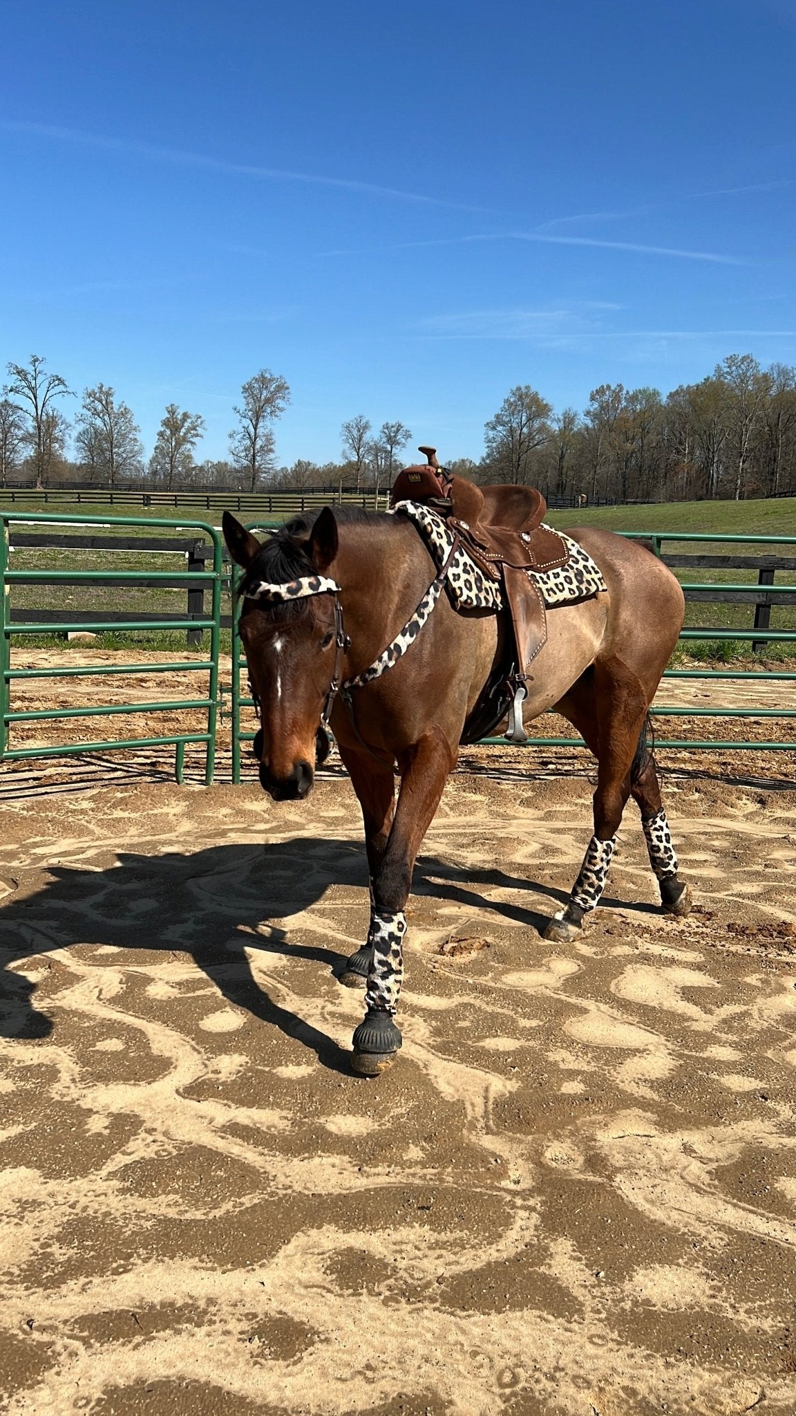 Leopard Print Breast Collar Cover (Covers ONLY) - Riverside Rodeo Shirts