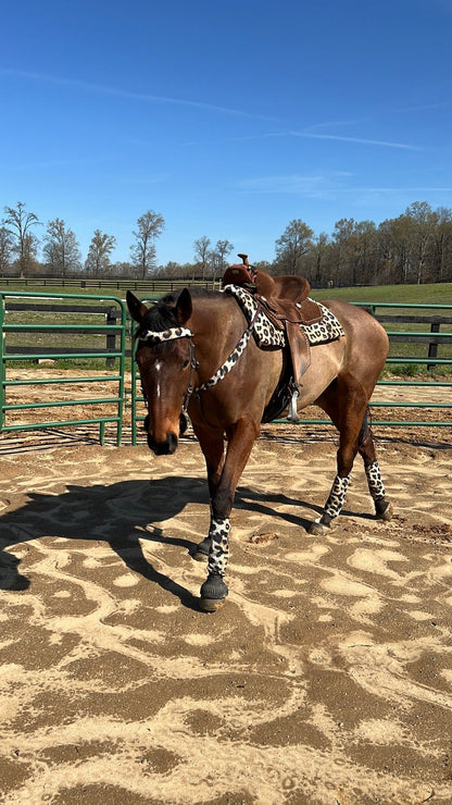 Leopard Print Breast Collar Cover (Covers ONLY) - Riverside Rodeo Shirts