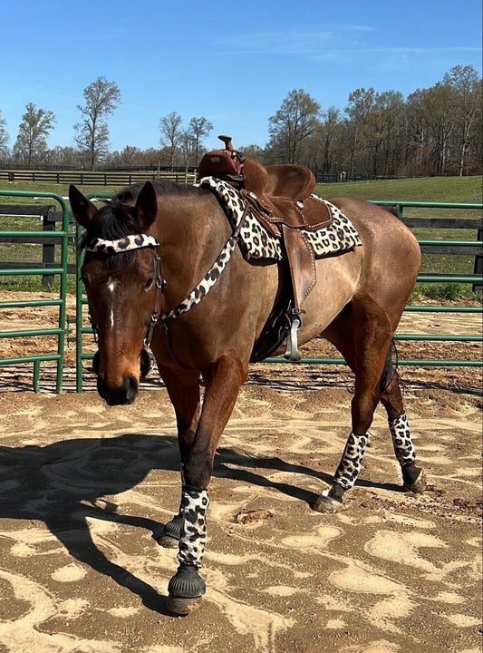 Leopard Print Browband or Noseband Cover (ONE Cover Only) - Riverside Rodeo Shirts