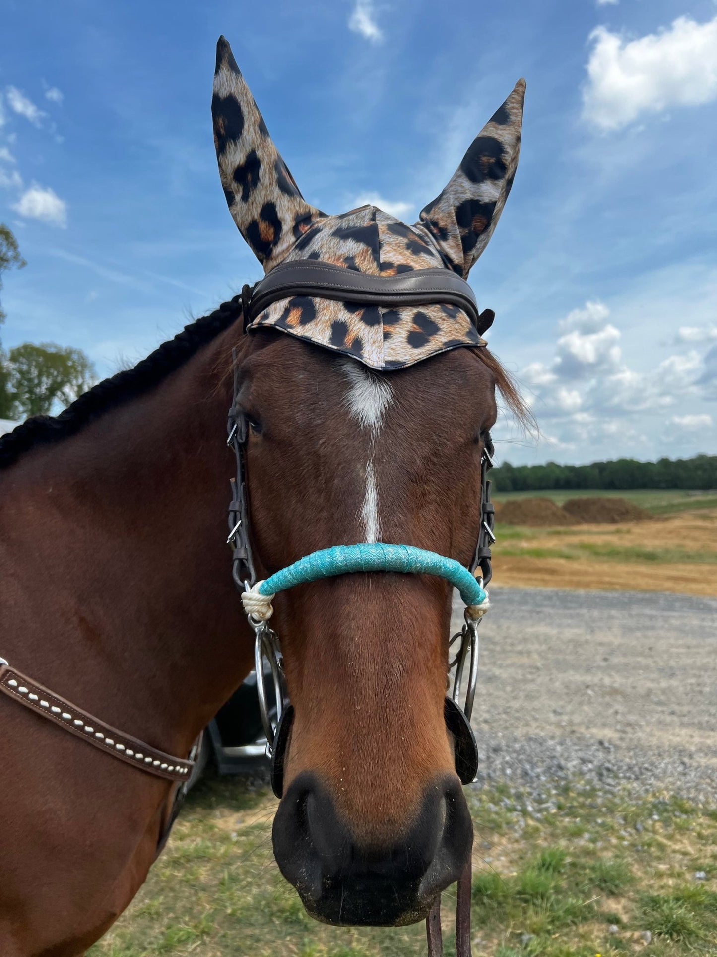Leopard Print Fly Bonnet - Riverside Rodeo Shirts