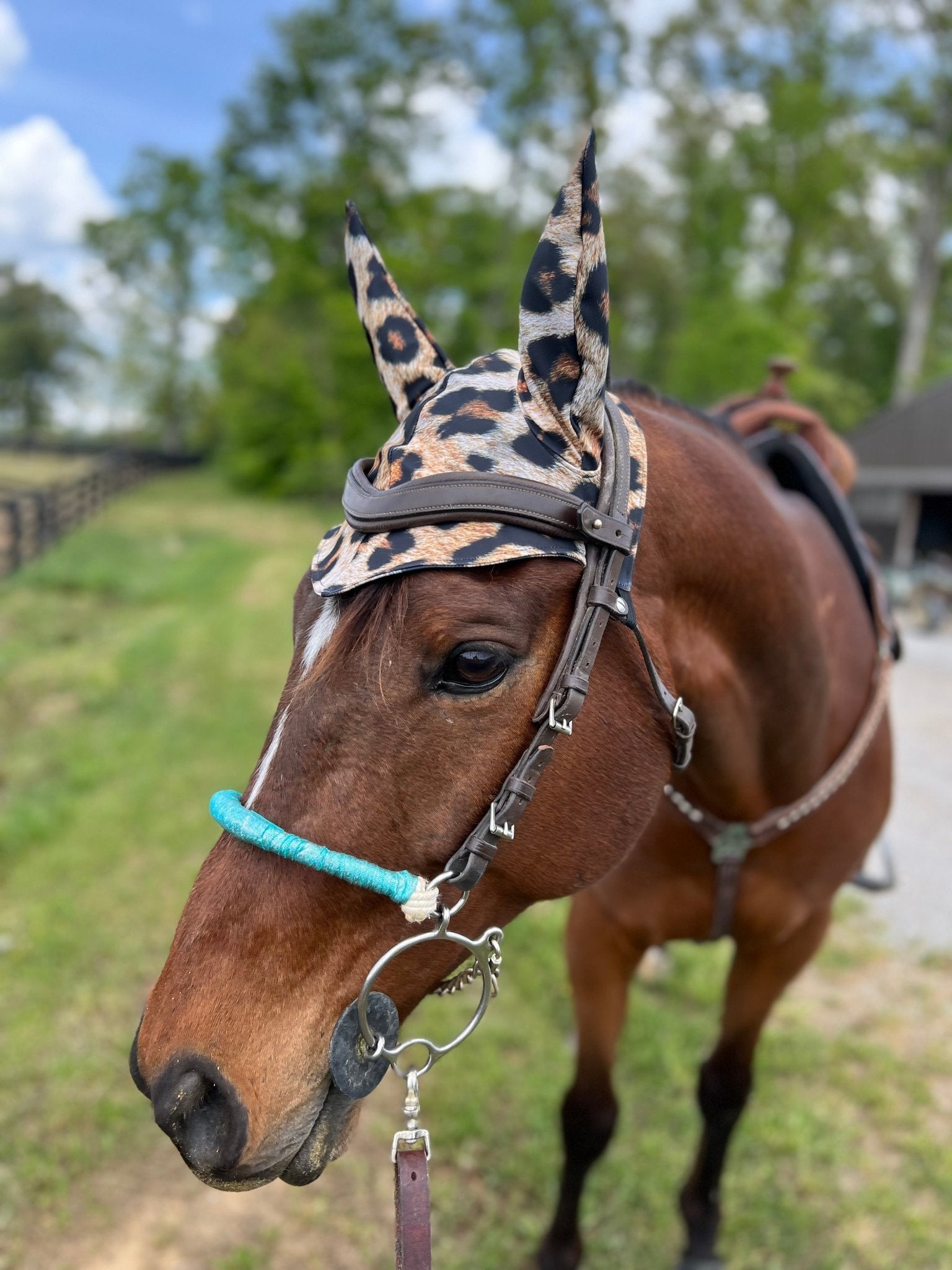 Leopard Print Fly Bonnet - Riverside Rodeo Shirts