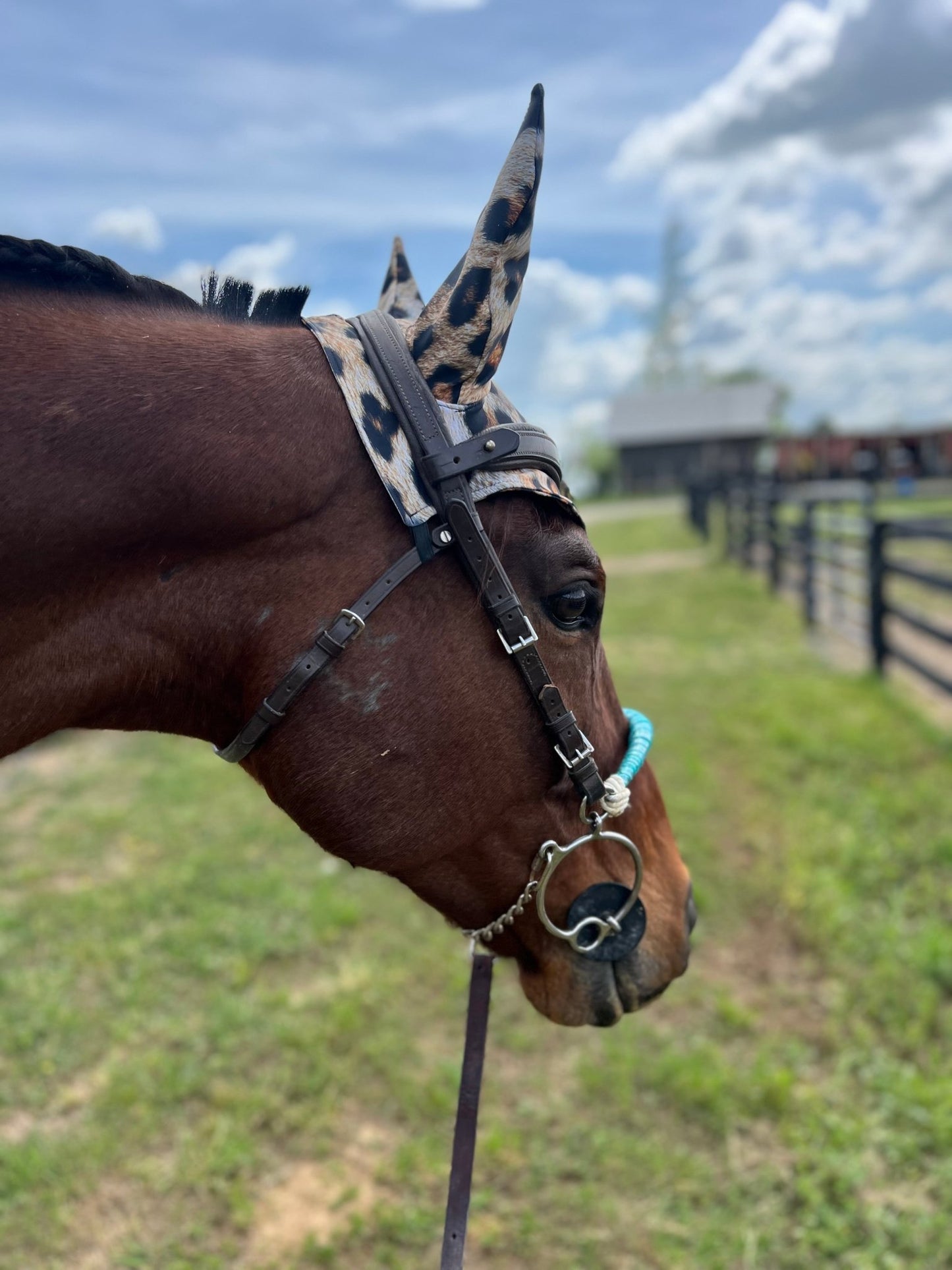 Leopard Print Fly Bonnet - Riverside Rodeo Shirts
