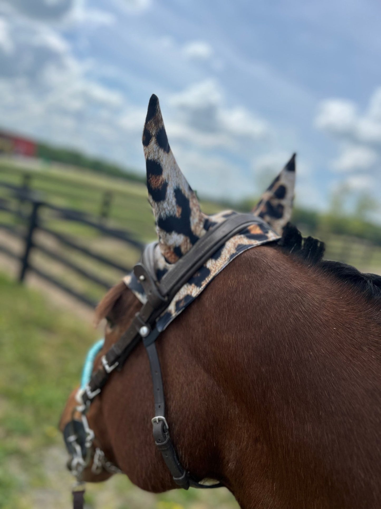 Leopard Print Fly Bonnet - Riverside Rodeo Shirts