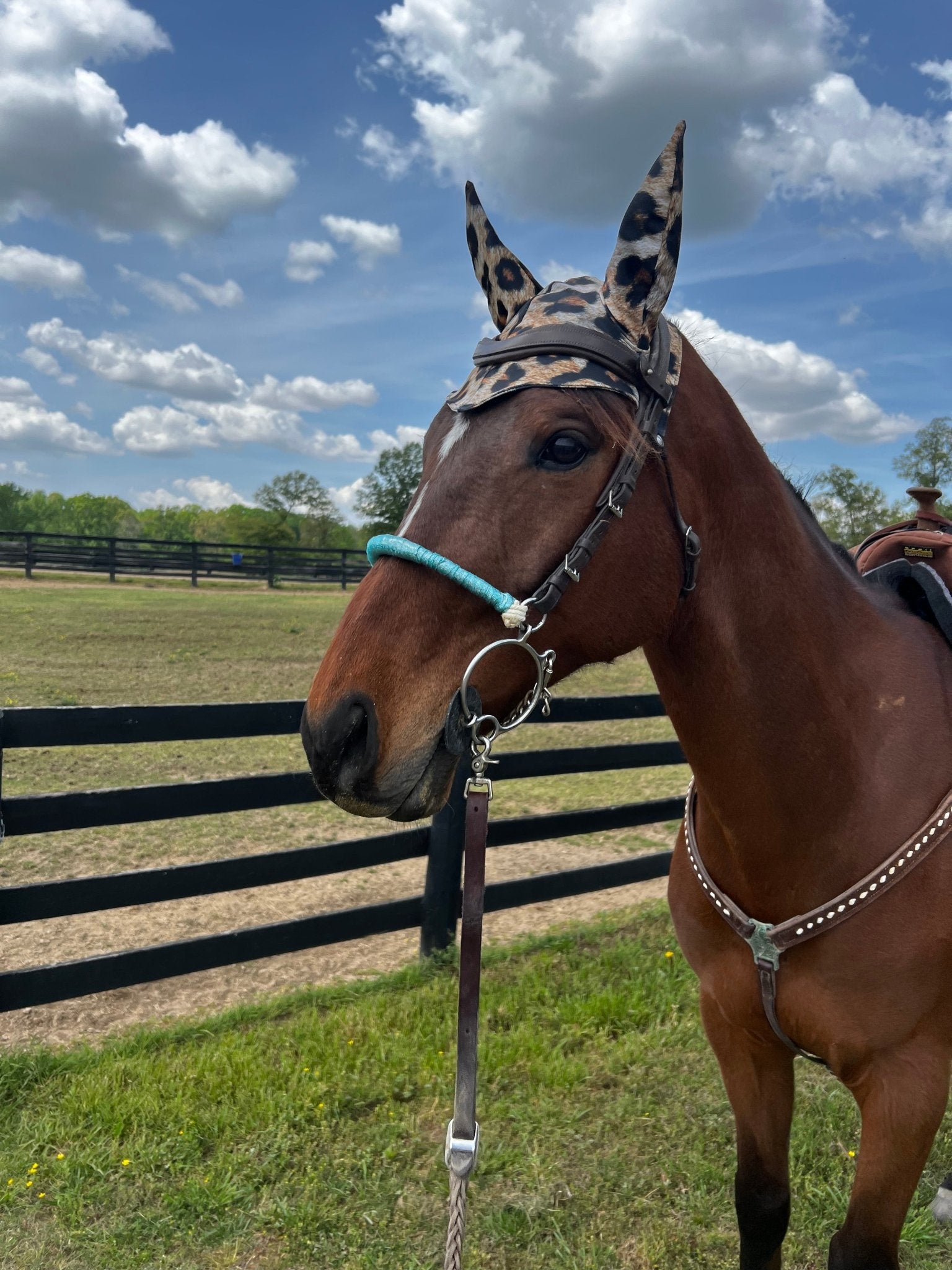 Leopard Print Fly Bonnet - Riverside Rodeo Shirts