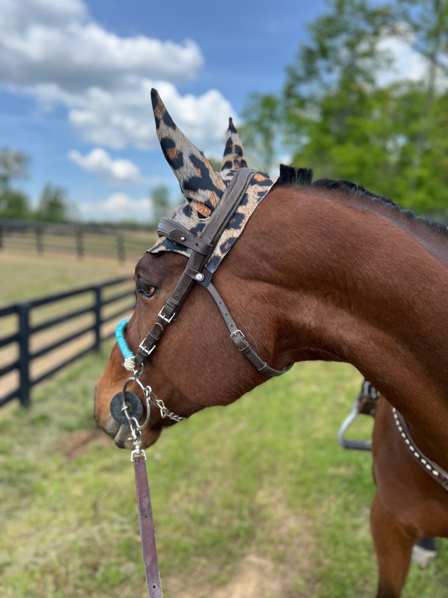 Leopard Print Fly Bonnet - Riverside Rodeo Shirts