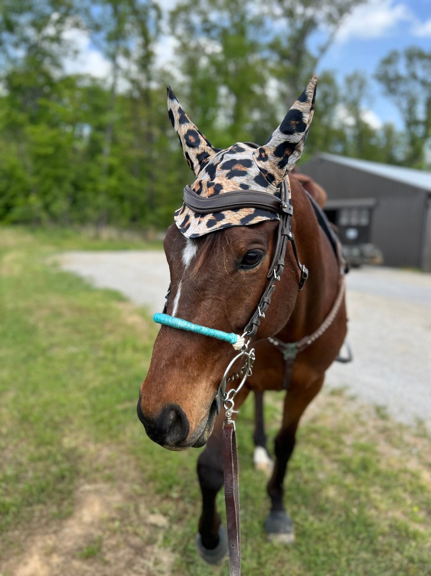 Leopard Print Fly Bonnet - Riverside Rodeo Shirts