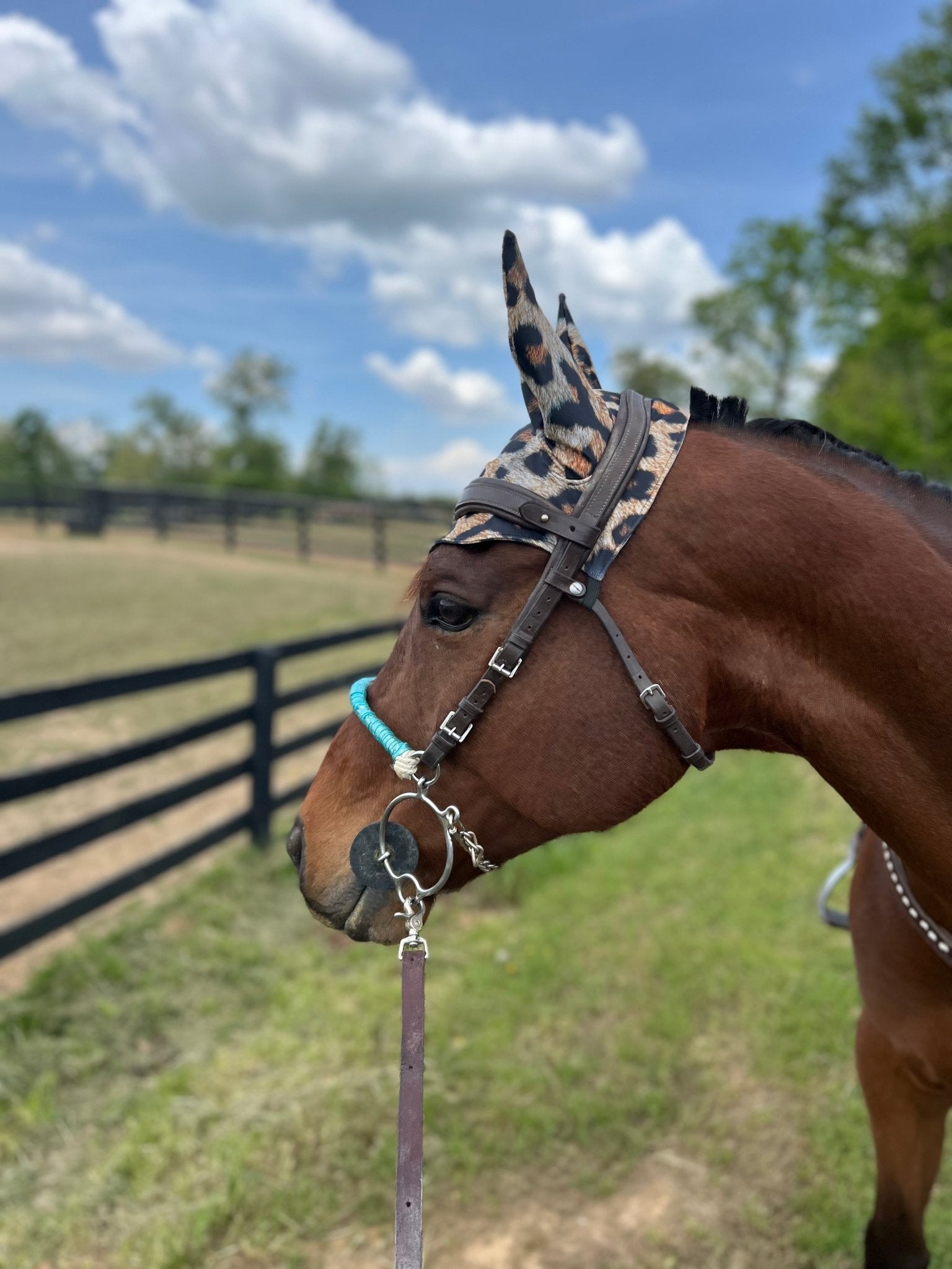 Leopard Print Fly Bonnet - Riverside Rodeo Shirts