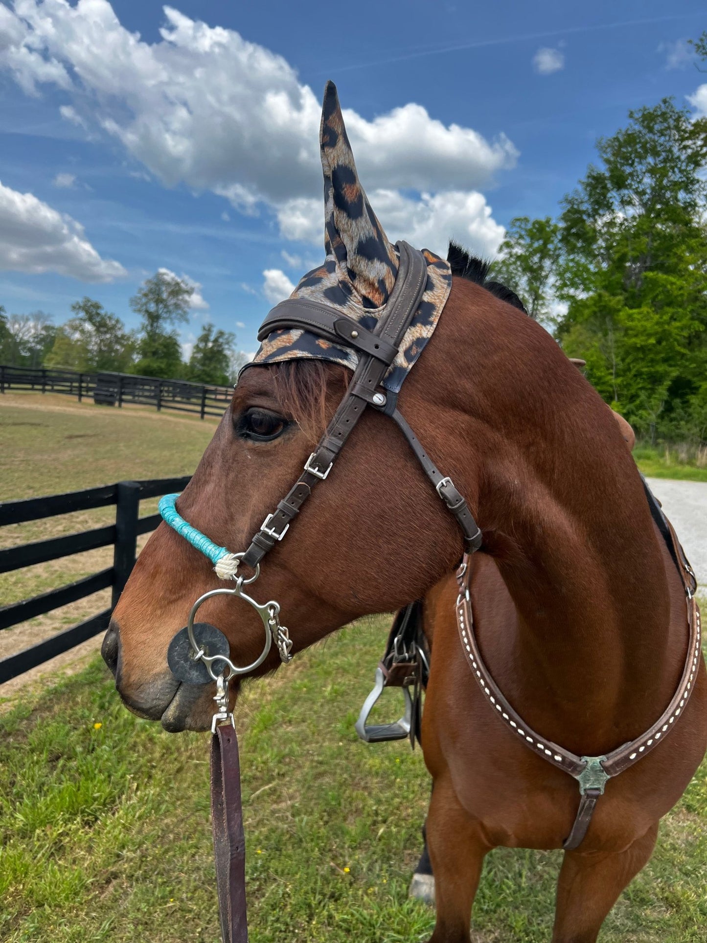 Leopard Print Fly Bonnet - Riverside Rodeo Shirts