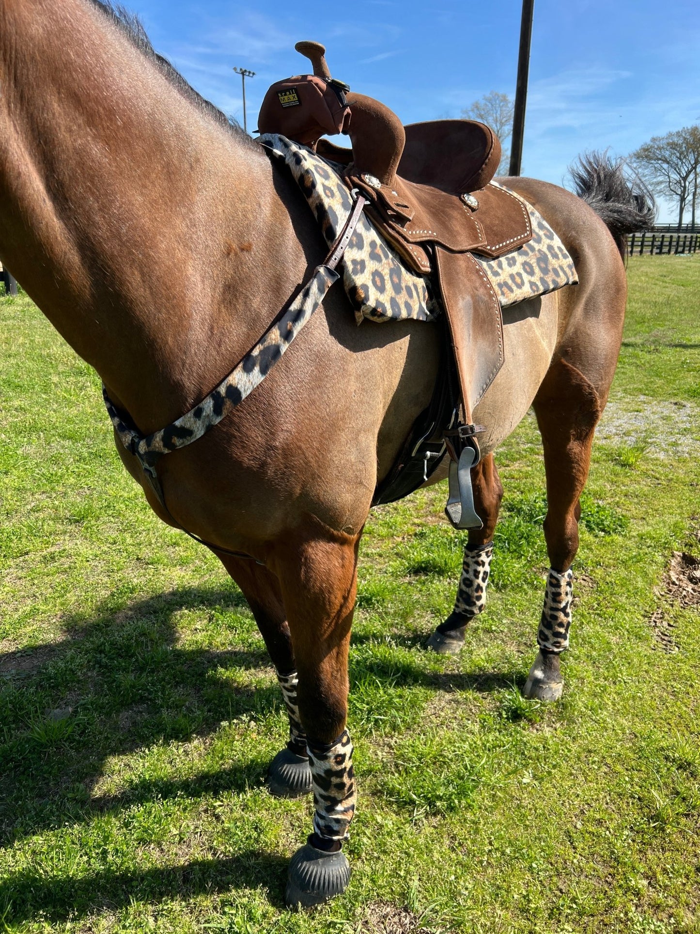 Leopard Print Velcro Sportboot Covers (Covers Only, sets of TWO) - Riverside Rodeo Shirts