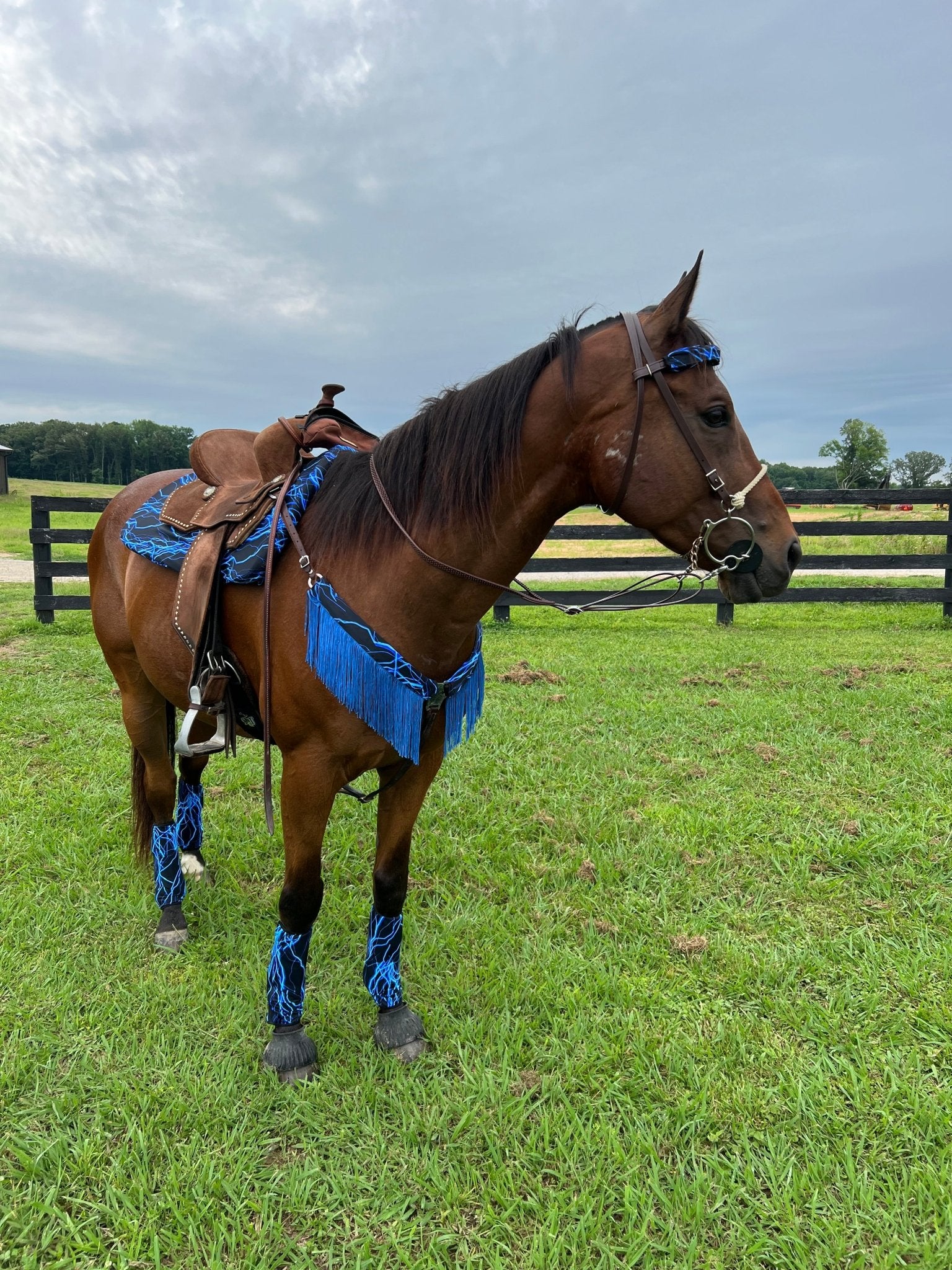Neon Blue Lightning Breast Collar Cover with Chainette Fringe (Covers ONLY) - Riverside Rodeo Shirts