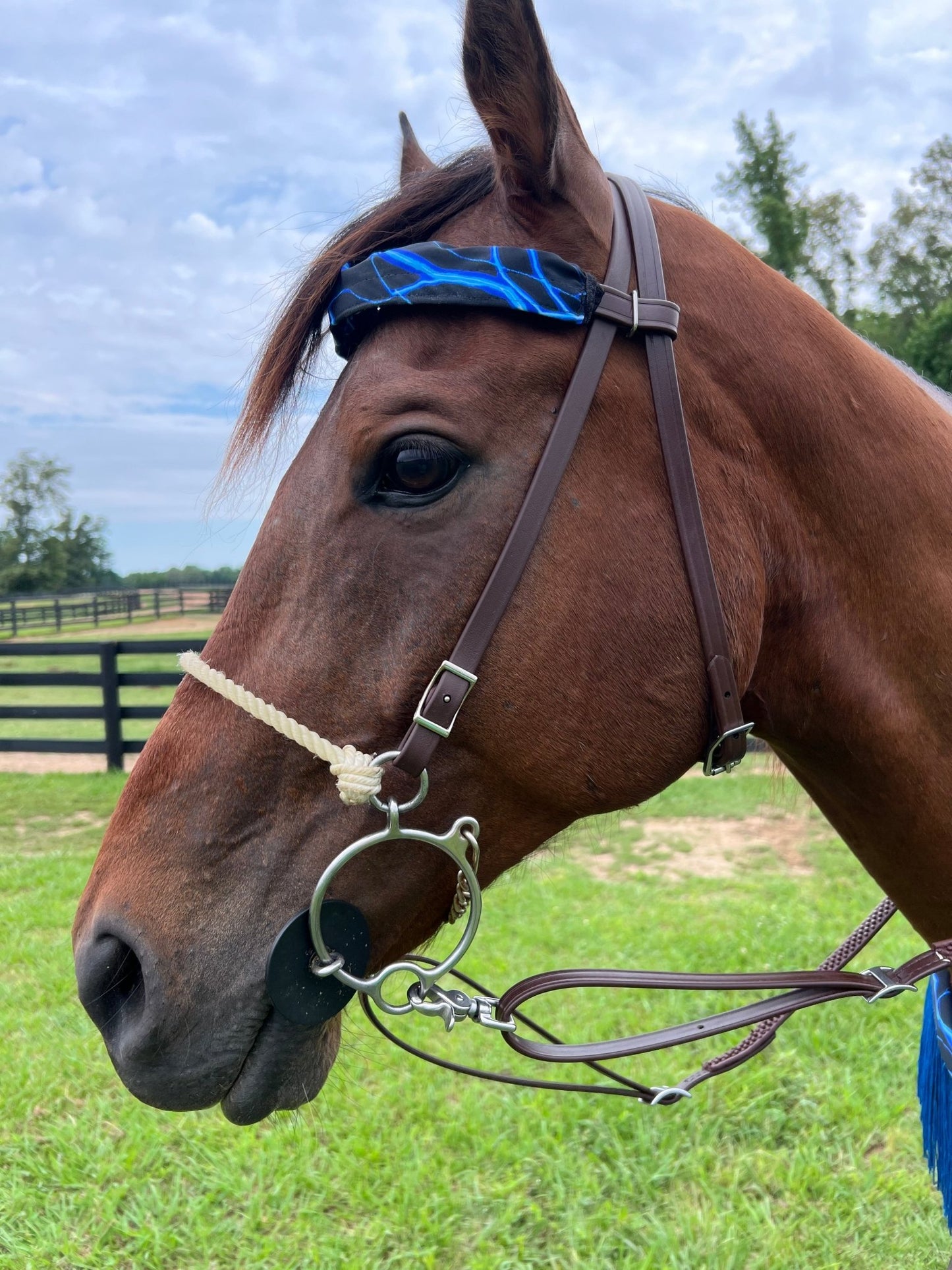 Neon Blue Lightning Print Browband or Noseband Cover (ONE Cover Only) - Riverside Rodeo Shirts