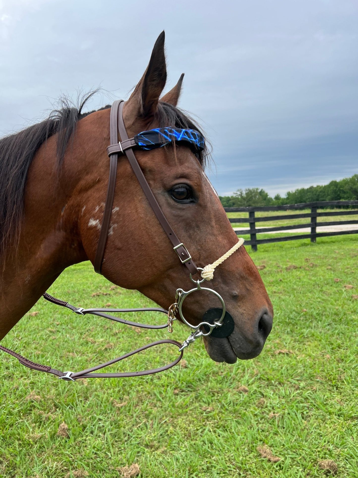 Neon Blue Lightning Print Browband or Noseband Cover (ONE Cover Only) - Riverside Rodeo Shirts