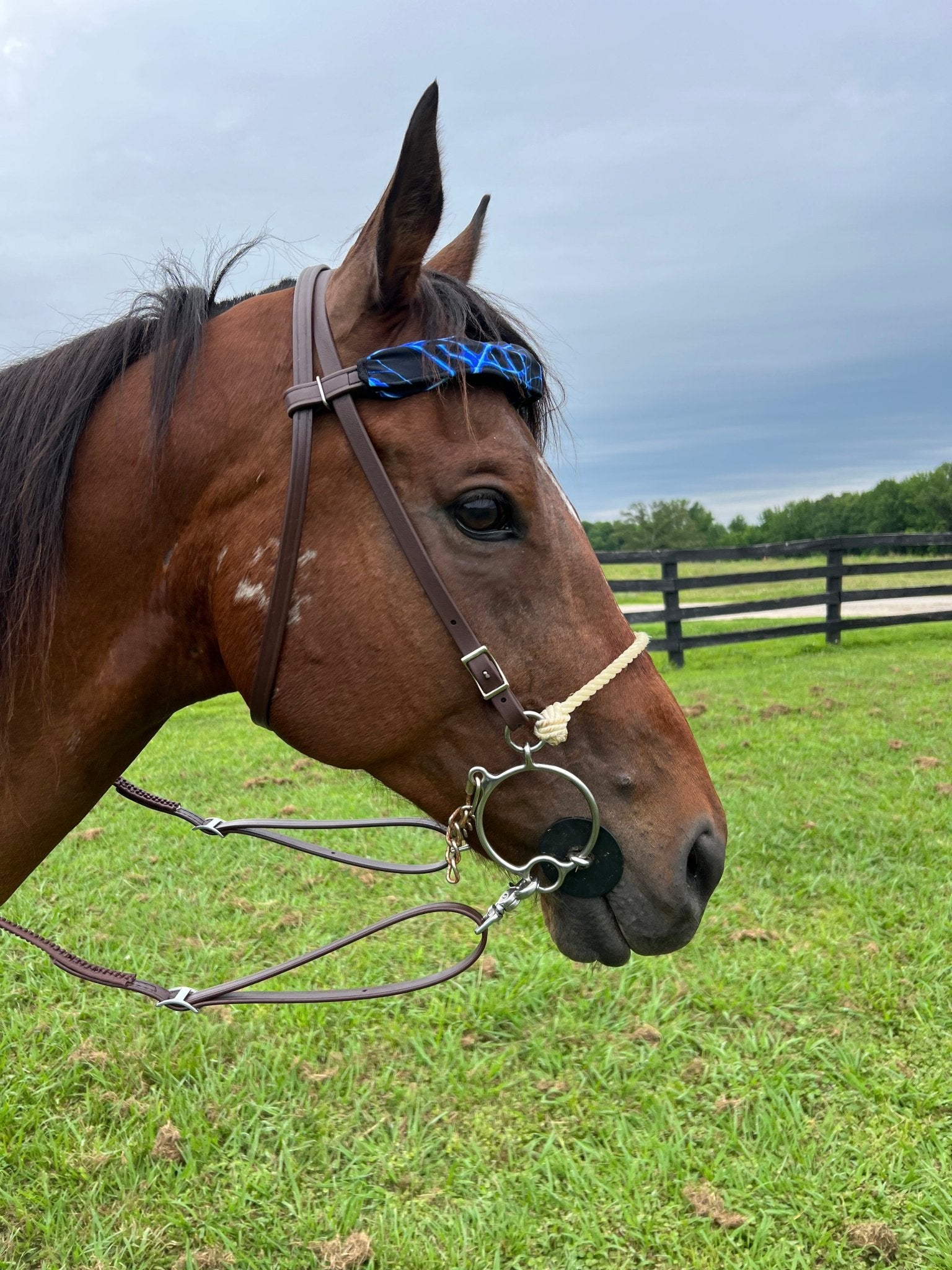 Neon Blue Lightning Print Browband or Noseband Cover (ONE Cover Only) - Riverside Rodeo Shirts