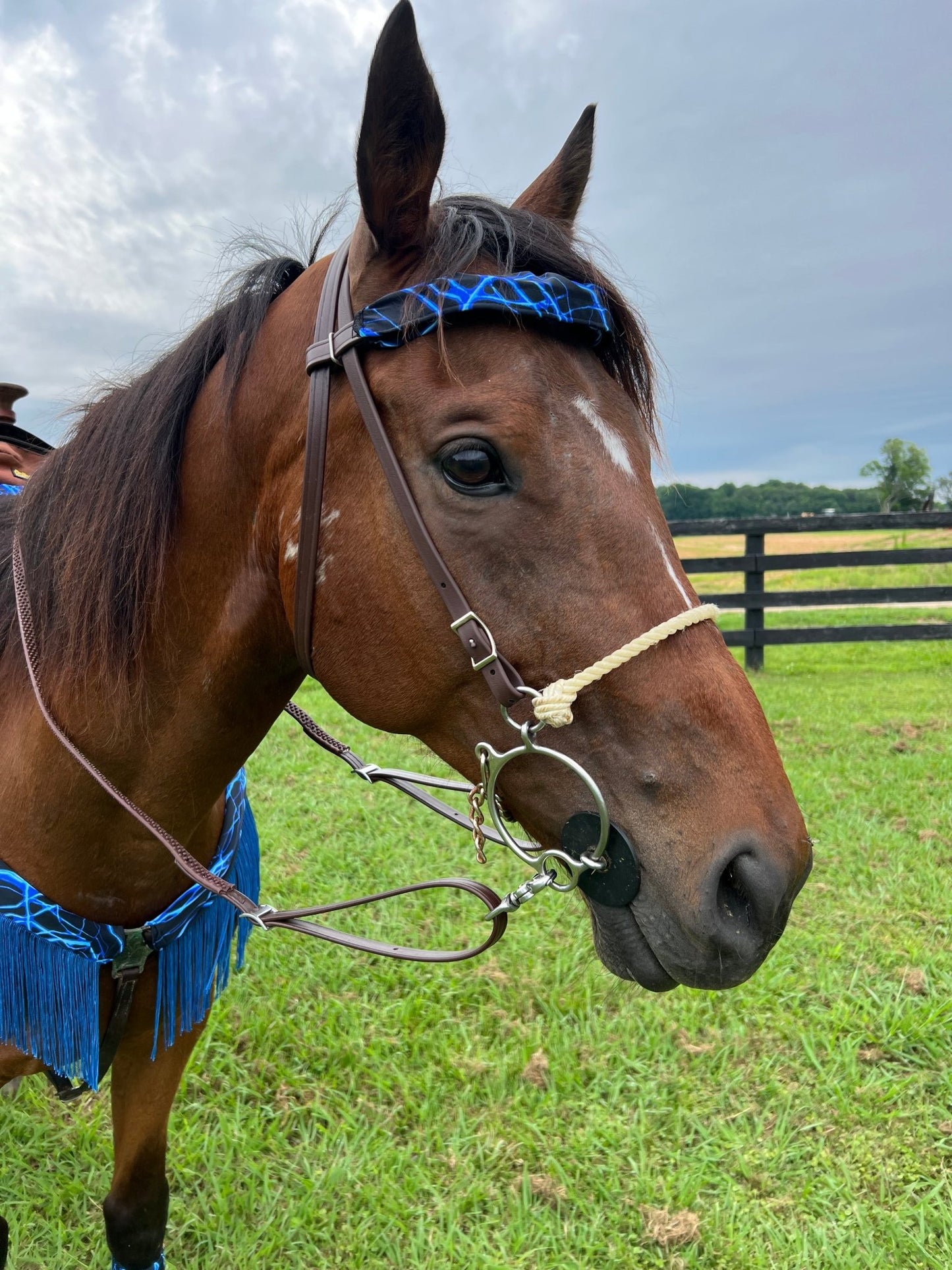 Neon Blue Lightning Print Browband or Noseband Cover (ONE Cover Only) - Riverside Rodeo Shirts
