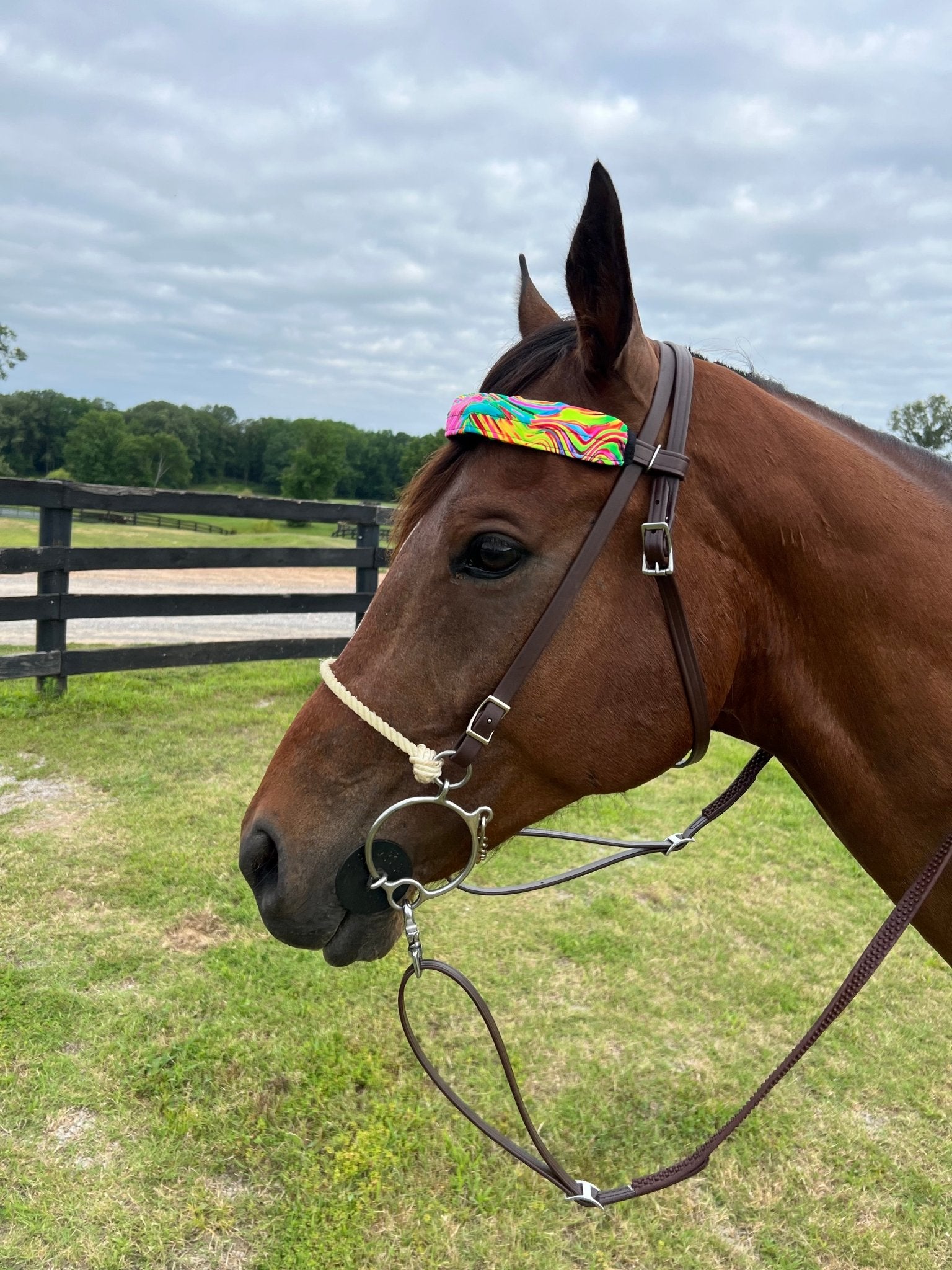Neon Flux Print Browband or Noseband Cover (ONE Cover Only) - Riverside Rodeo Shirts