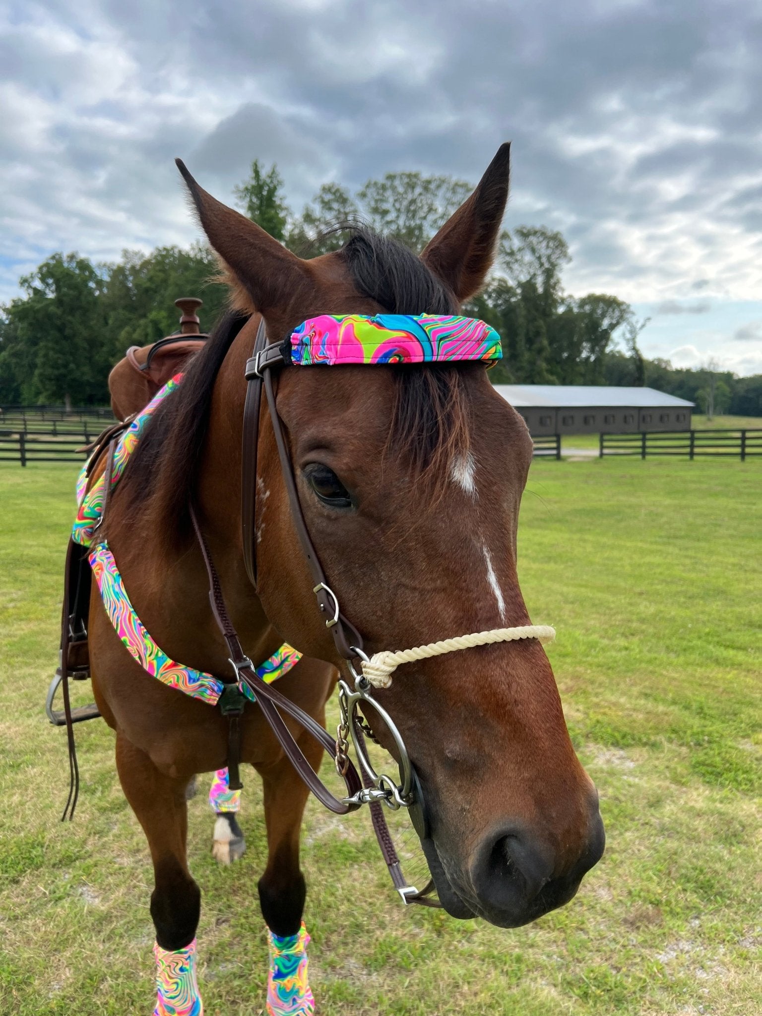 Neon Flux Print Browband or Noseband Cover (ONE Cover Only) - Riverside Rodeo Shirts