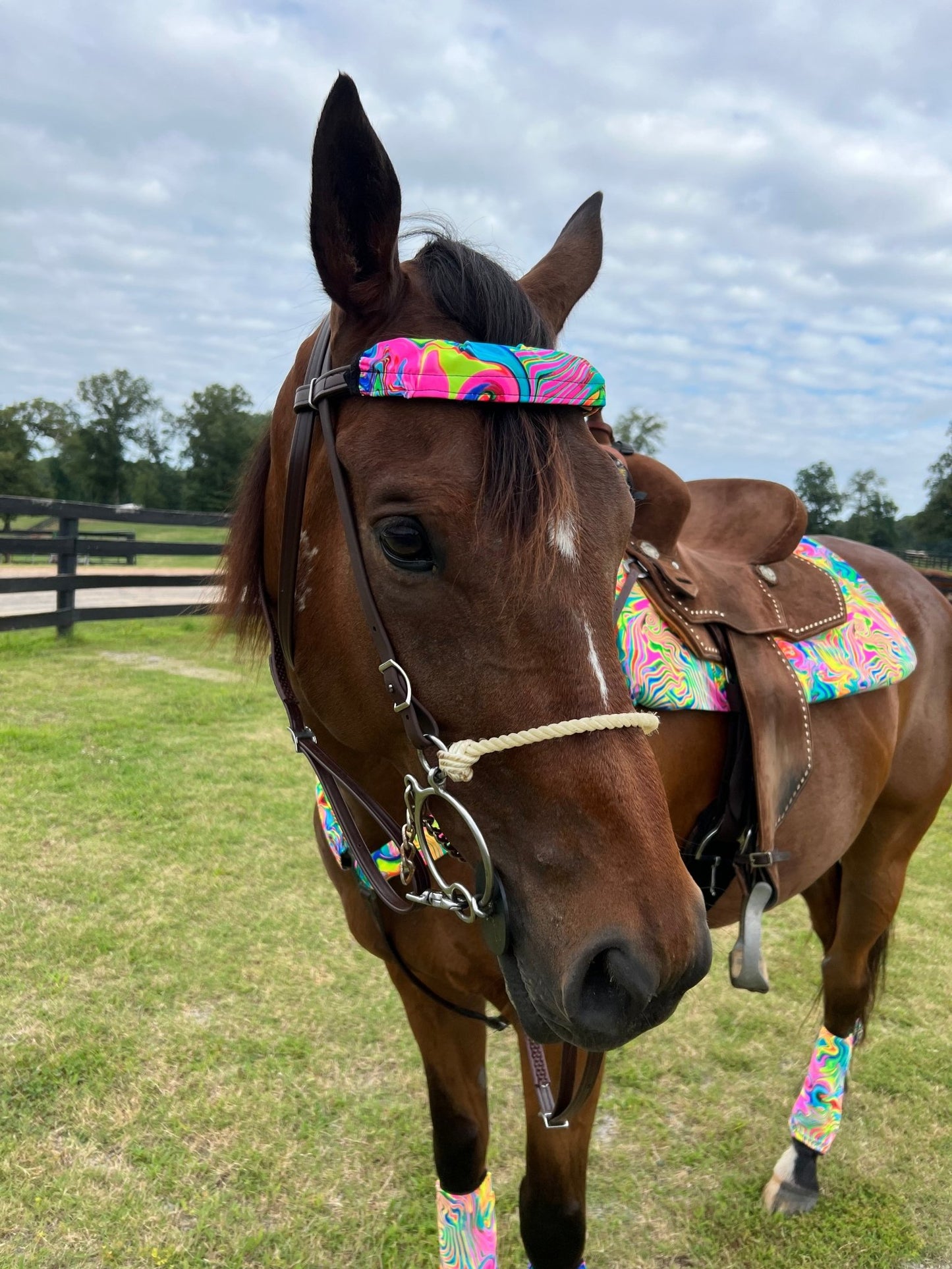 Neon Flux Print Browband or Noseband Cover (ONE Cover Only) - Riverside Rodeo Shirts
