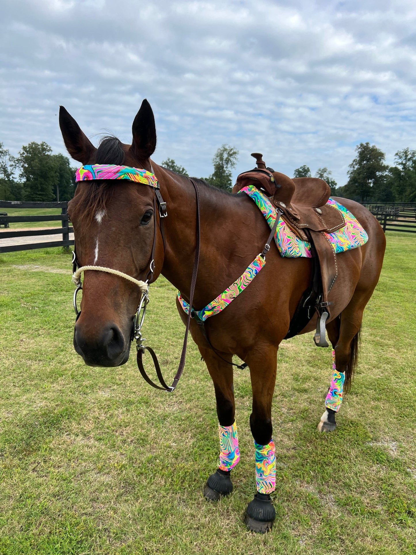 Neon Flux Print Browband or Noseband Cover (ONE Cover Only) - Riverside Rodeo Shirts