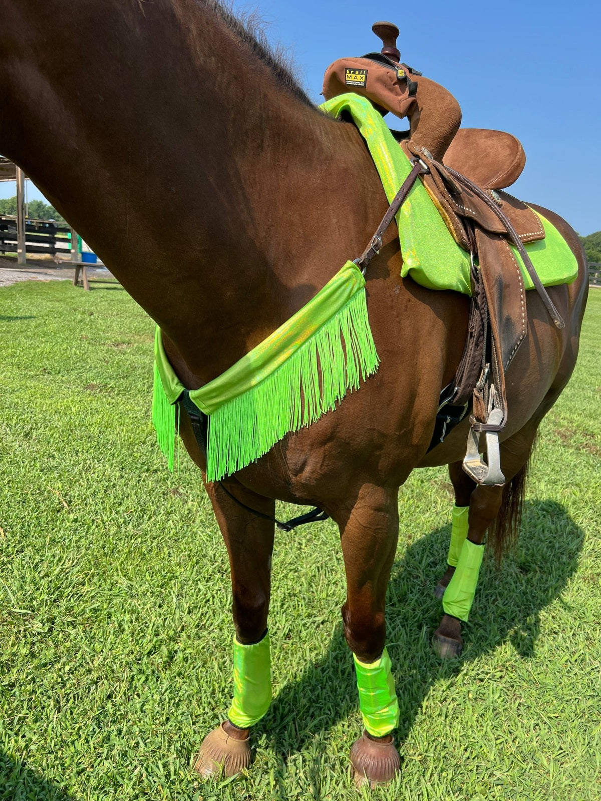 Neon Lime Green Holographic Breast Collar Cover with Chainette Fringe (Covers ONLY) - Riverside Rodeo Shirts