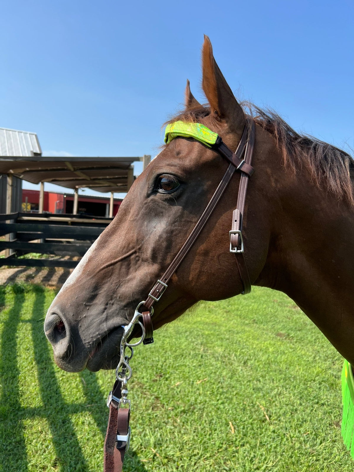 Neon Lime Green Holographic Browband or Noseband Cover (ONE Cover Only) - Riverside Rodeo Shirts