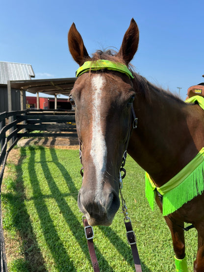 Neon Lime Green Holographic Browband or Noseband Cover (ONE Cover Only) - Riverside Rodeo Shirts