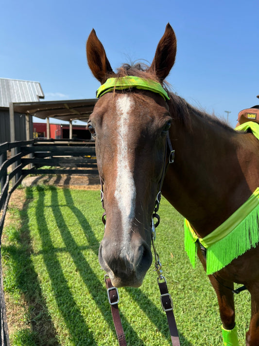 Neon Lime Green Holographic Browband or Noseband Cover (ONE Cover Only) - Riverside Rodeo Shirts