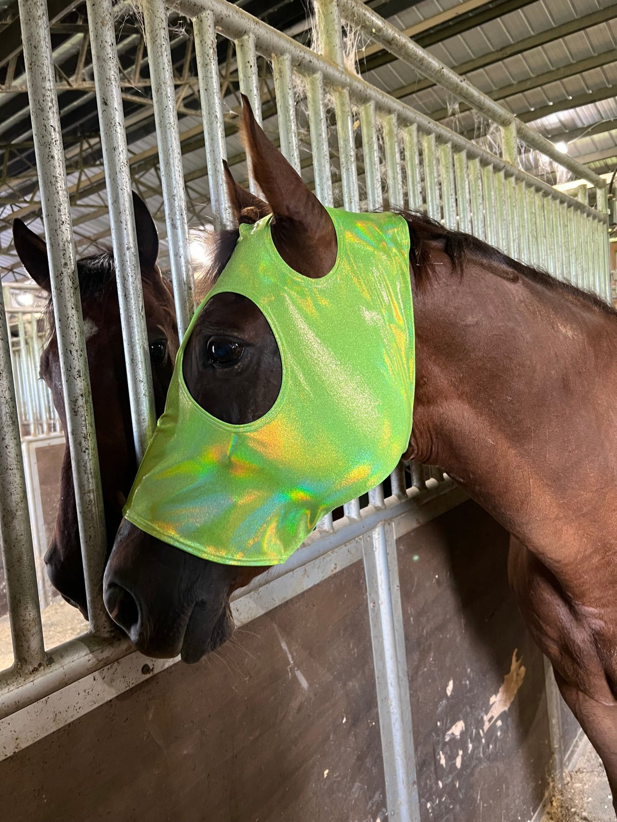 Neon Lime Green Holographic Spandex Face Mask for Horses - Riverside Rodeo Shirts