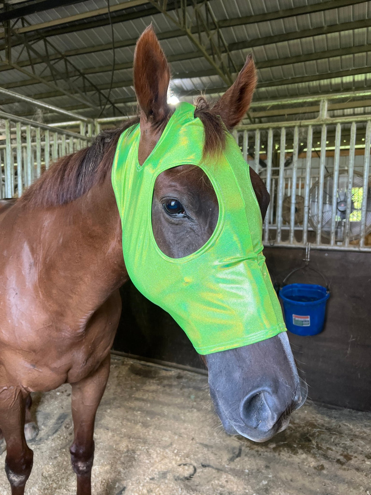 Neon Lime Green Holographic Spandex Face Mask for Horses - Riverside Rodeo Shirts
